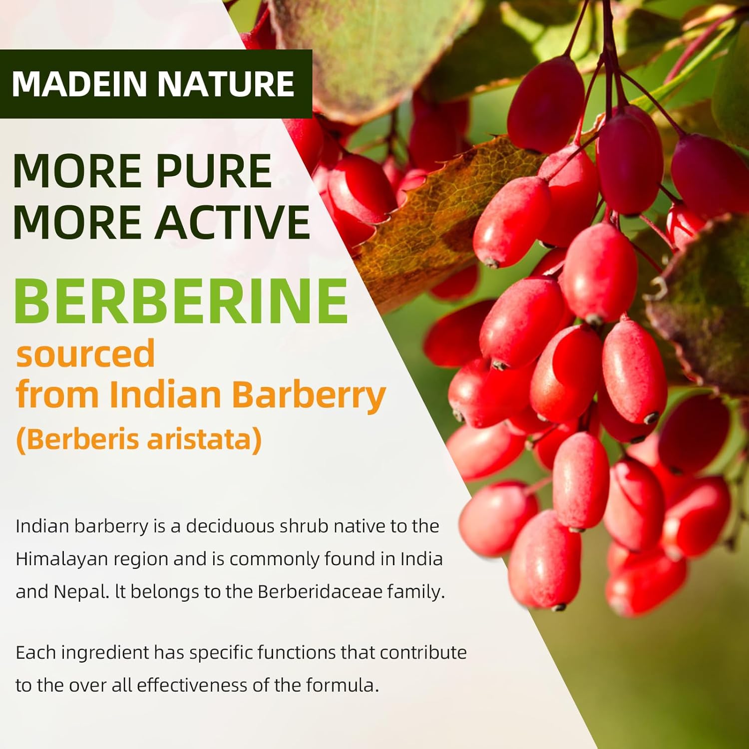 High Potency Berberine Gummies with Ceylon Cinnamon for Immune & Metabolism Support - 120 Count