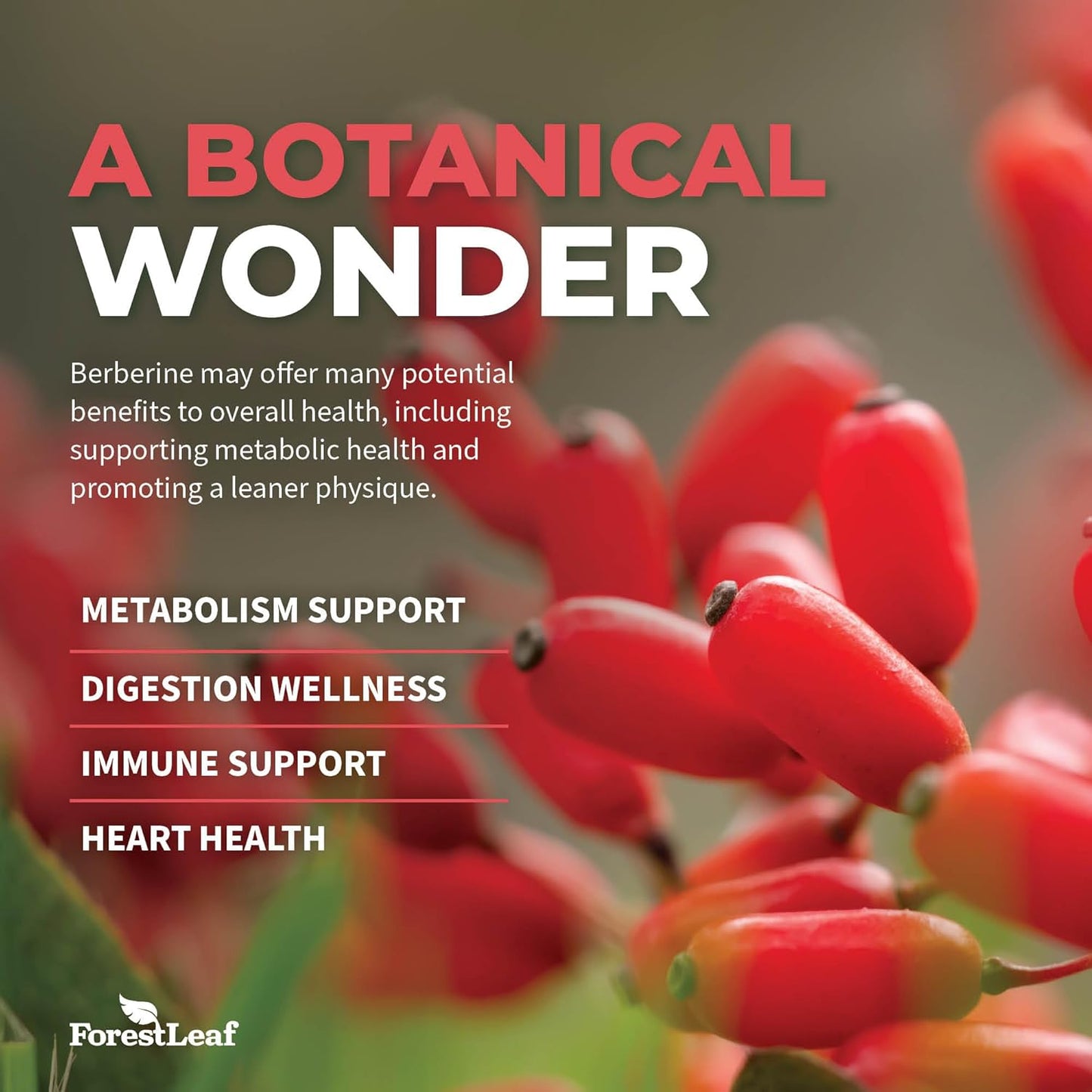 High Potency Berberine Supplement with Ceylon Cinnamon for Weight Management - 1300mg per Serving, 90 Veggie Caps - ForestLeaf Berberine HCl Formula