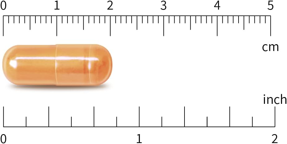 High Potency Boswellia & Curcumin Supplement - 120 Vegan Capsules, 10:1 Extract, 333mg Boswellia & 100mg Curcumin
