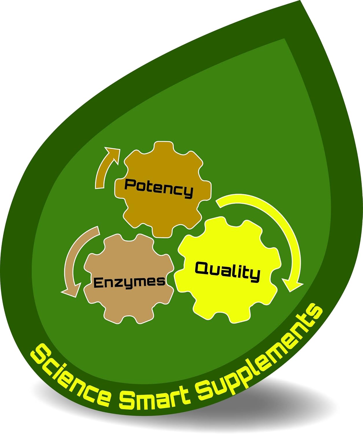 High-Potency Catalase Supplement for Full Absorption, 31-Day Supply (10mL)