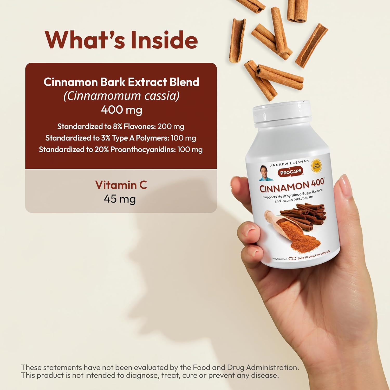 High Potency Cinnamon Extract Capsules - 400mg, 240 Count. No Additives, Easy to Swallow Size by Andrew Lessman