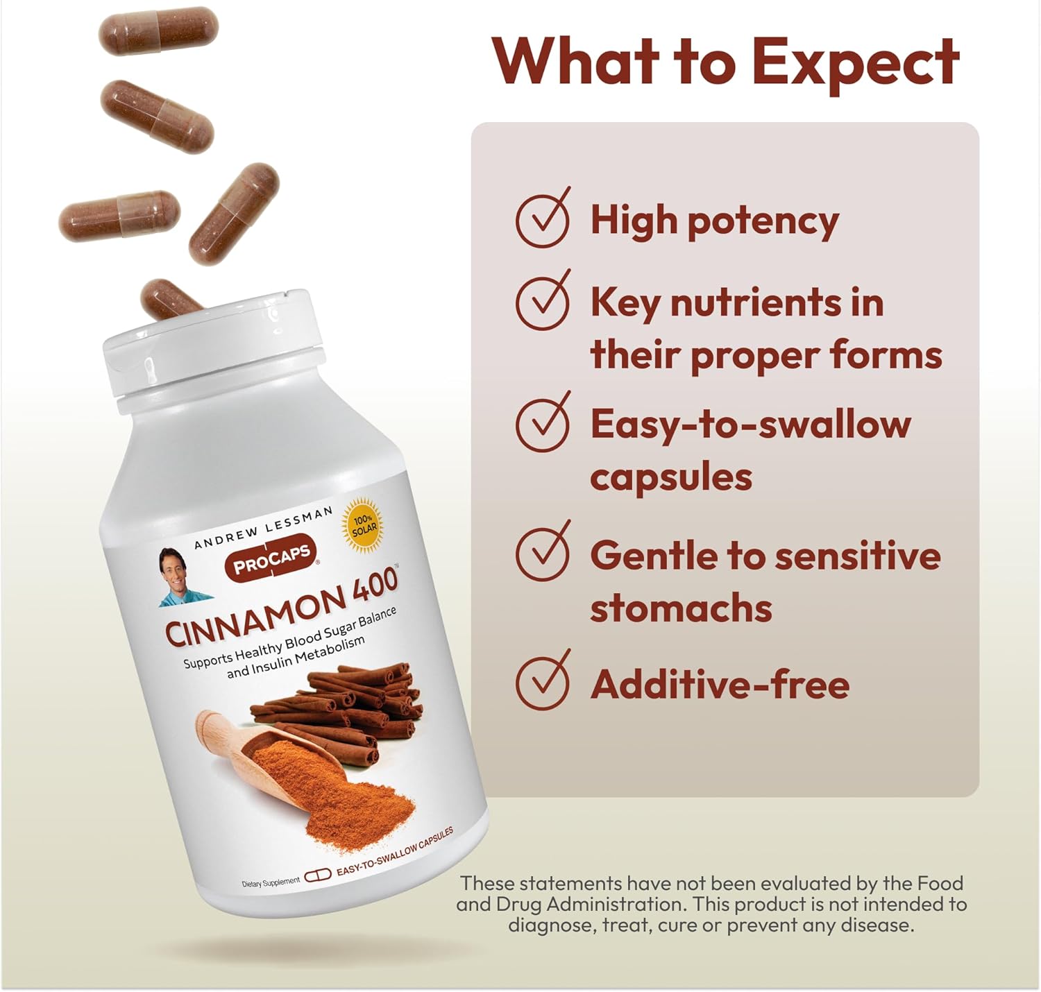 High Potency Cinnamon Extract Capsules - 400mg, 240 Count. No Additives, Easy to Swallow Size by Andrew Lessman