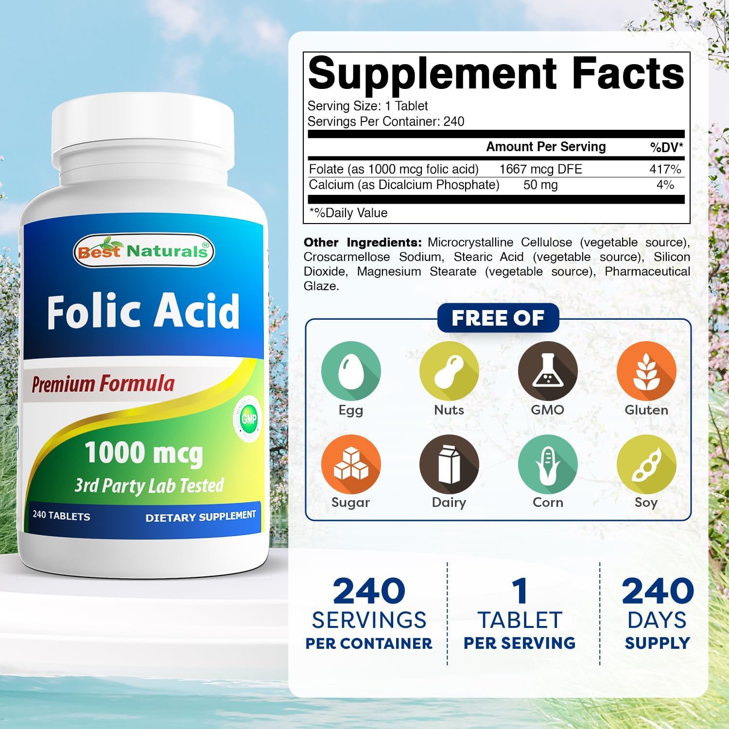 High Potency Folic Acid 1000 mcg (Vitamin B9) Tablets - 240 Count for Optimal Health