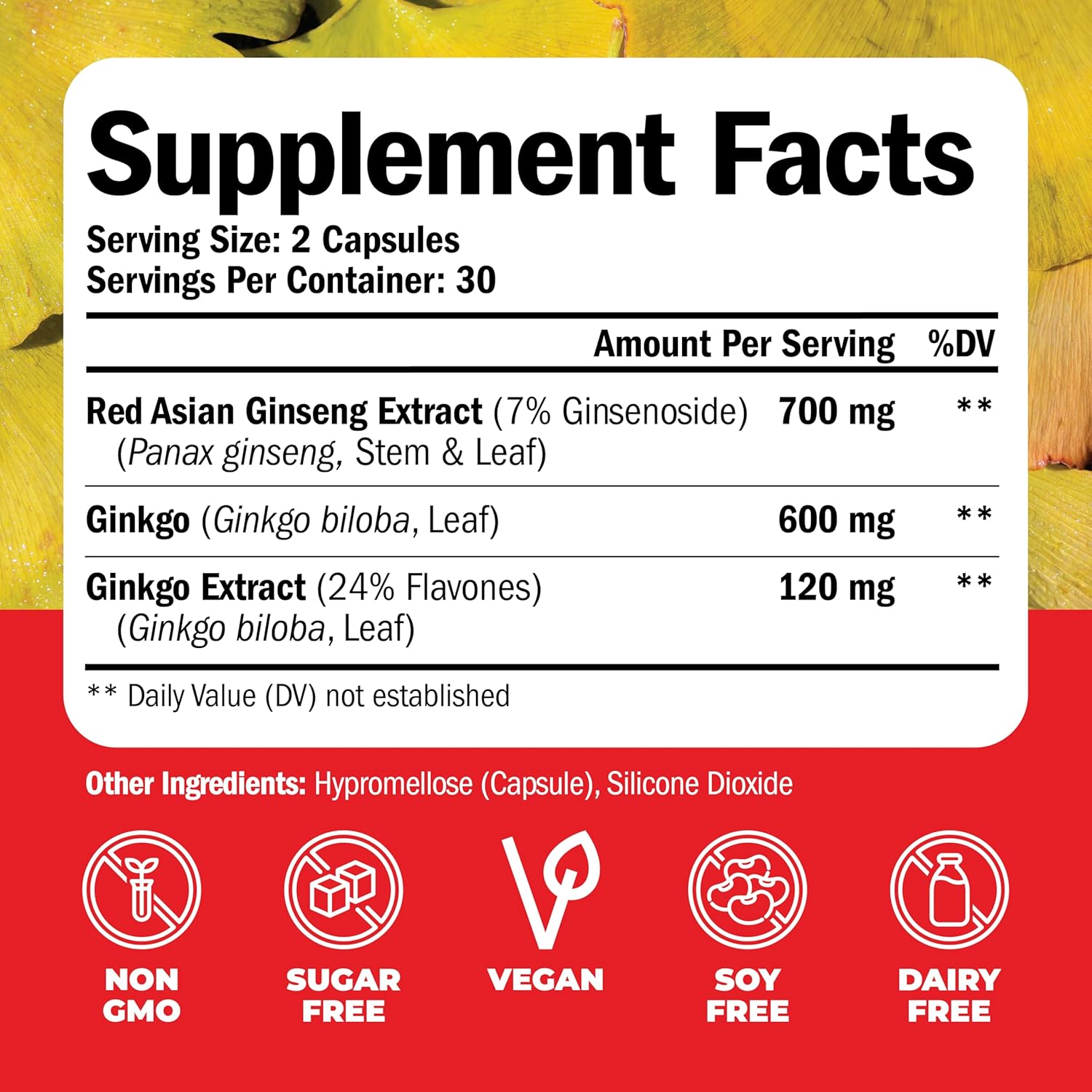 High Potency Ginseng & Ginkgo Biloba Nootropic Brain Support Supplement - Memory & Focus Boost - 800mg Panax Ginseng + 600mg Gingko + 120mg Ginkgo Biloba Extract - Vimerson Health