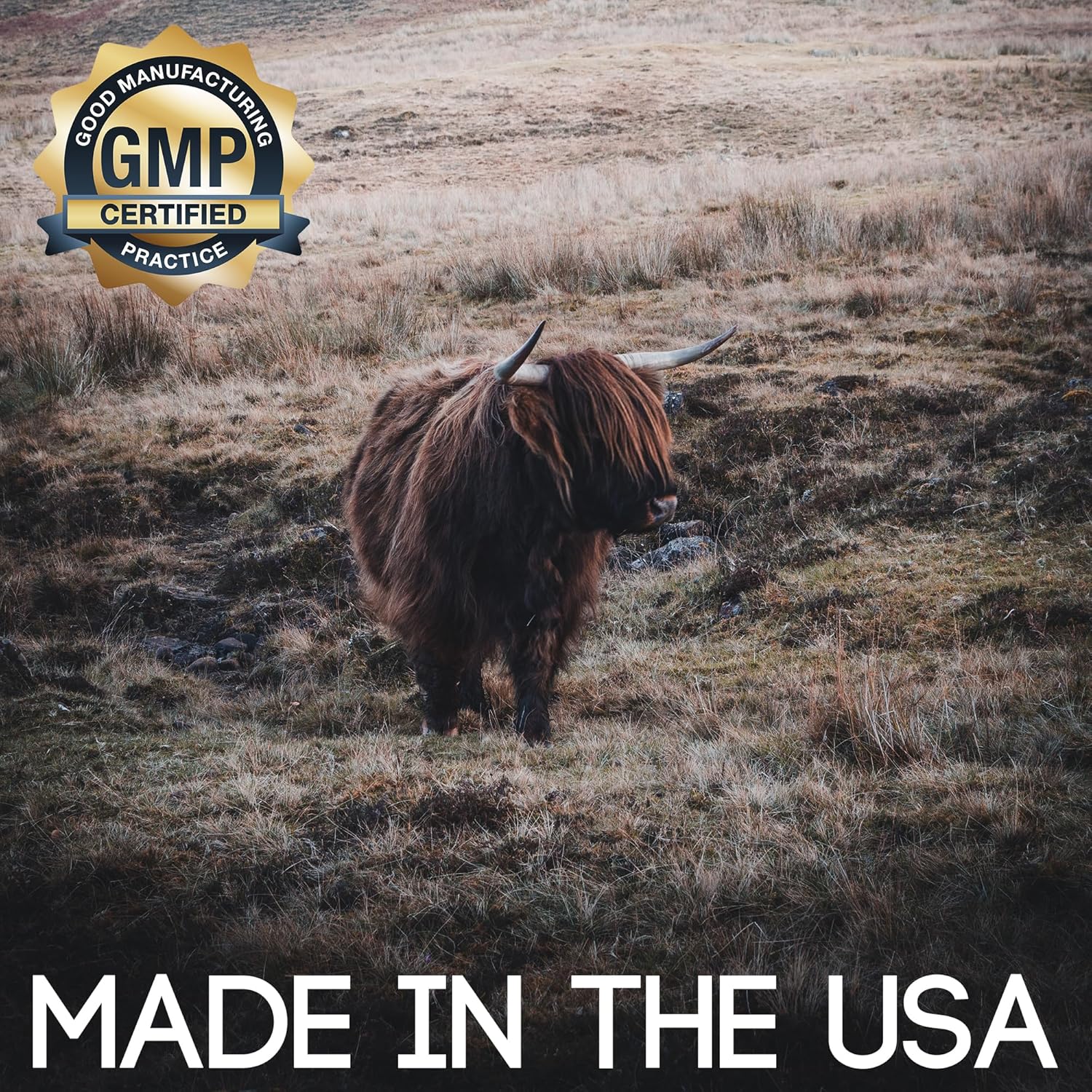 High Potency Grass-Fed Beef Liver Capsules | 3000mg Serving | Non-GMO, Hormone-Free, Gluten-Free | Desiccated and Undefatted