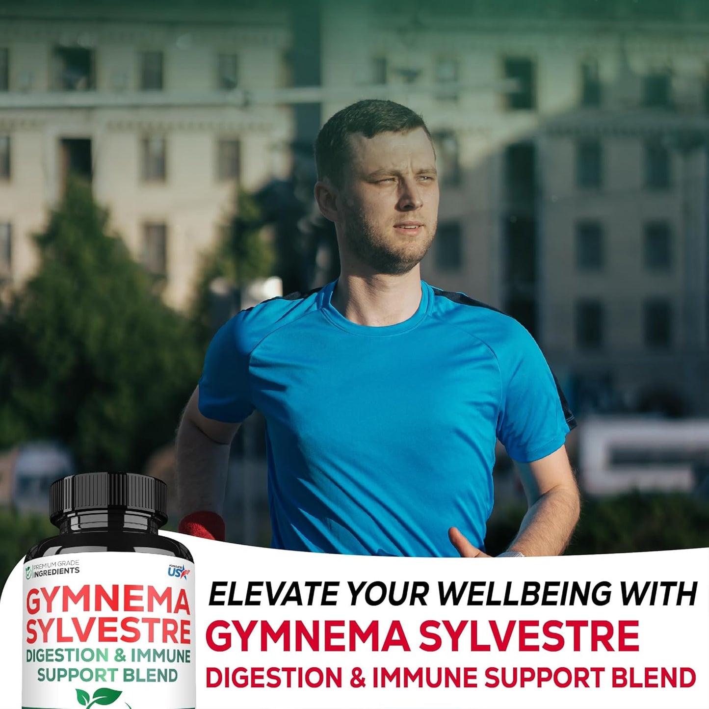 High Potency Gymnema Sylvestre Supplements - 1000mg - 210 Capsules with Gymnema Extract 20:1, Berberine HCl, Quercetin - Immune, Digestive Health Support