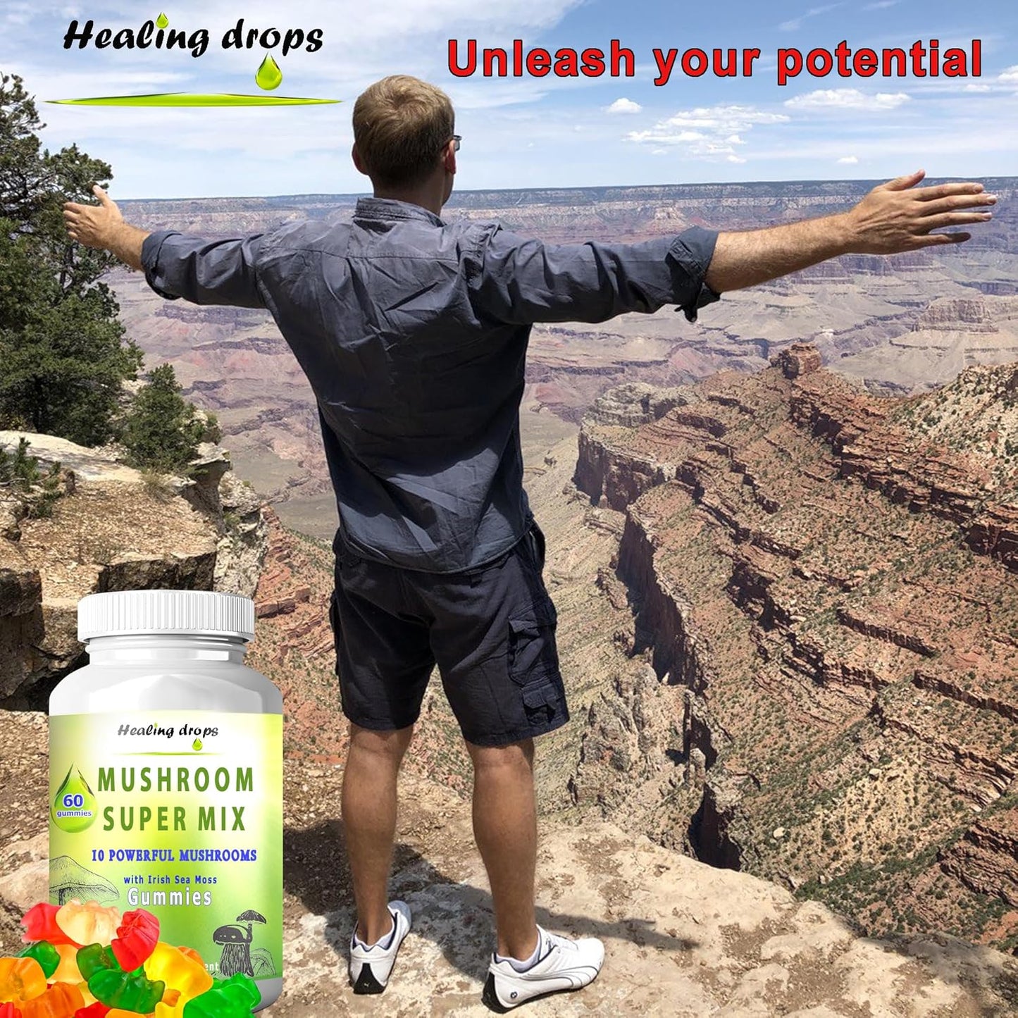High Potency Healing Drops Mushroom Gummies with Sea Moss - 10 Mushroom Blend Supplement (60 Gummies)