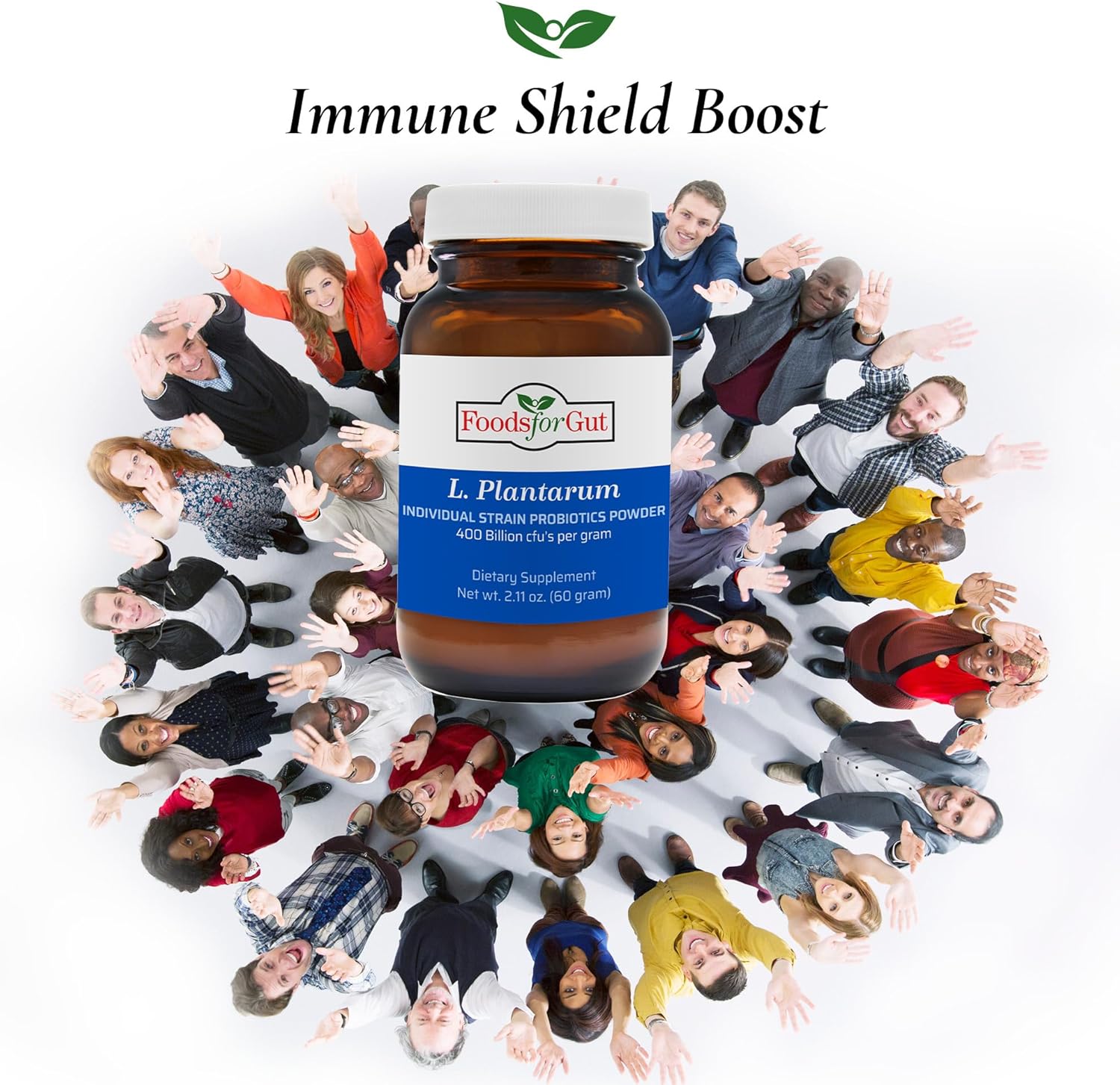 High Potency Lactobacillus Plantarum Probiotic Powder 400 Billion cfu's for Digestive & Immune Support - 60g Made in USA - No Additives