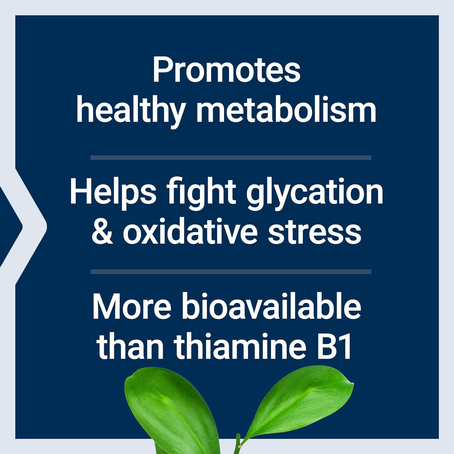 High Potency Life Extension Mega Benfotiamine 250mg Capsules, Fat-Soluble Vitamin B1 for Healthy Metabolism, Ultra-Bioavailable, Gluten-Free, Non-GMO, Vegetarian - 120 Count