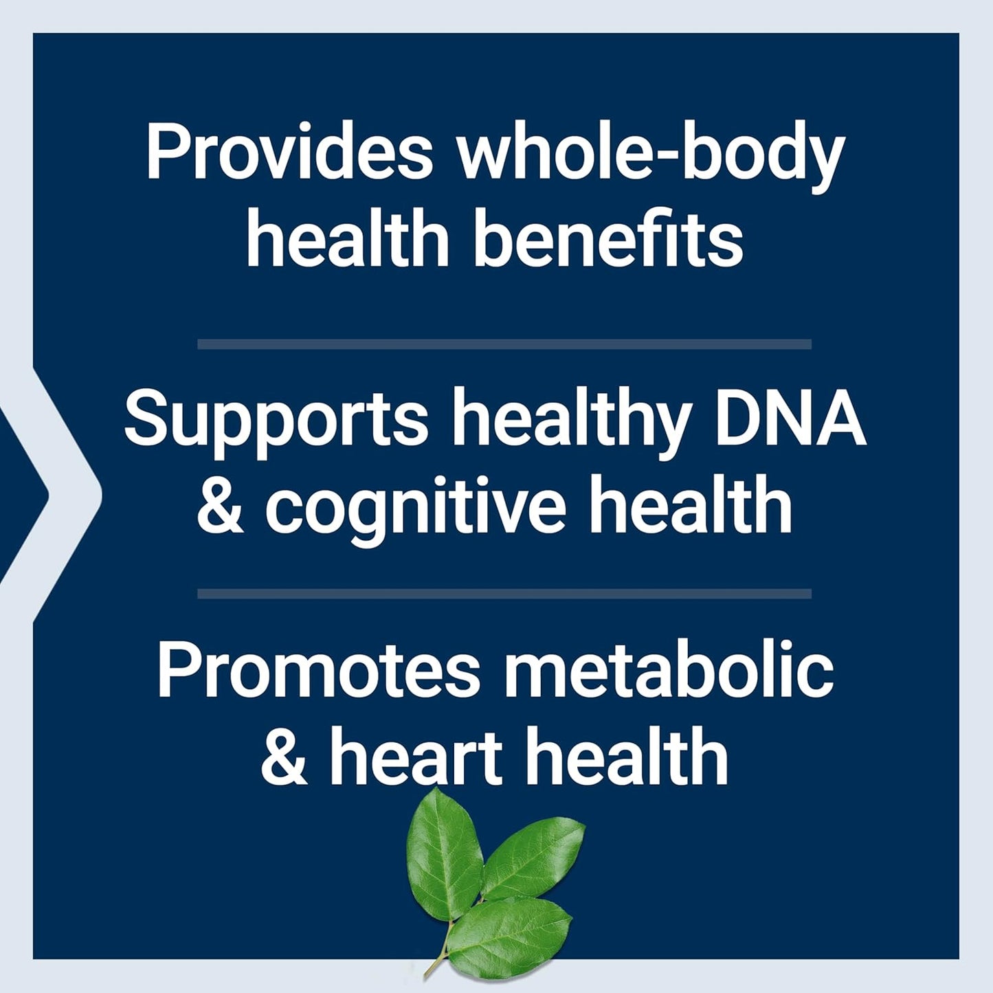 High Potency Life Extension Mix Capsules - Advanced Vitamin & Mineral Formula for Whole-Body Health, Healthy Aging - 360 Capsules, Gluten-Free