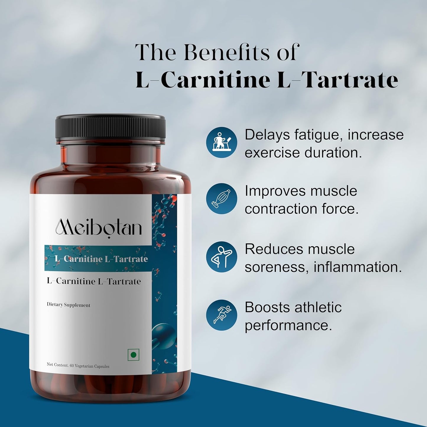 High Potency MEIBOTAN L-Carnitine & L-Tartrate Supplement for Fat Utilization, Lean Muscle Gain, and Metabolism Support - 60 Vegan Capsules