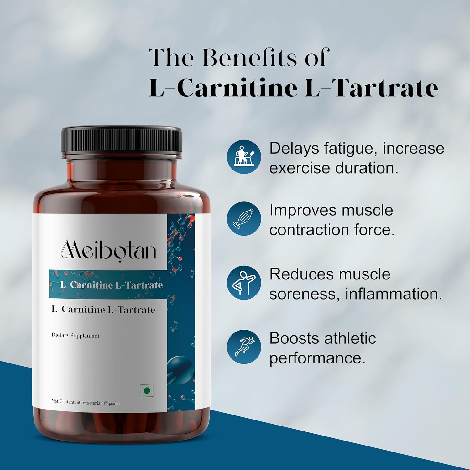 High Potency MEIBOTAN L-Carnitine & L-Tartrate Supplement for Fat Utilization, Lean Muscle Gain, and Metabolism Support - 60 Vegan Capsules