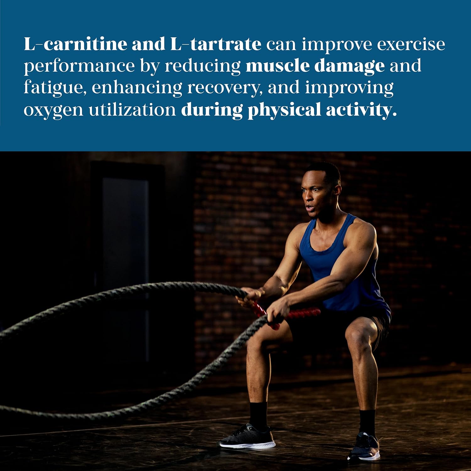 High Potency MEIBOTAN L-Carnitine & L-Tartrate Supplement for Fat Utilization, Lean Muscle Gain, and Metabolism Support - 60 Vegan Capsules