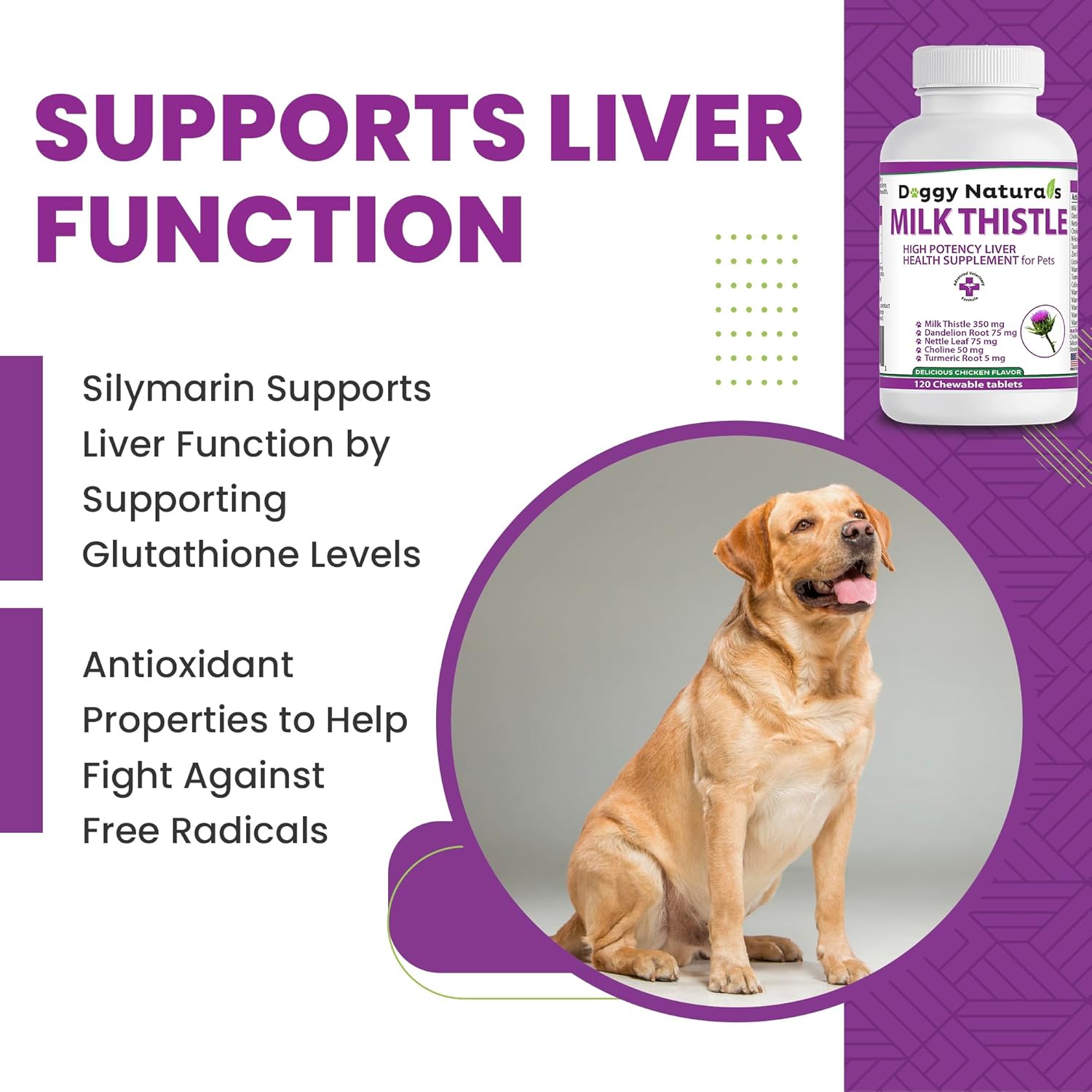High Potency Milk Thistle Liver Health Supplement for Dogs - 120 Tablets by Pet Health Pharma
