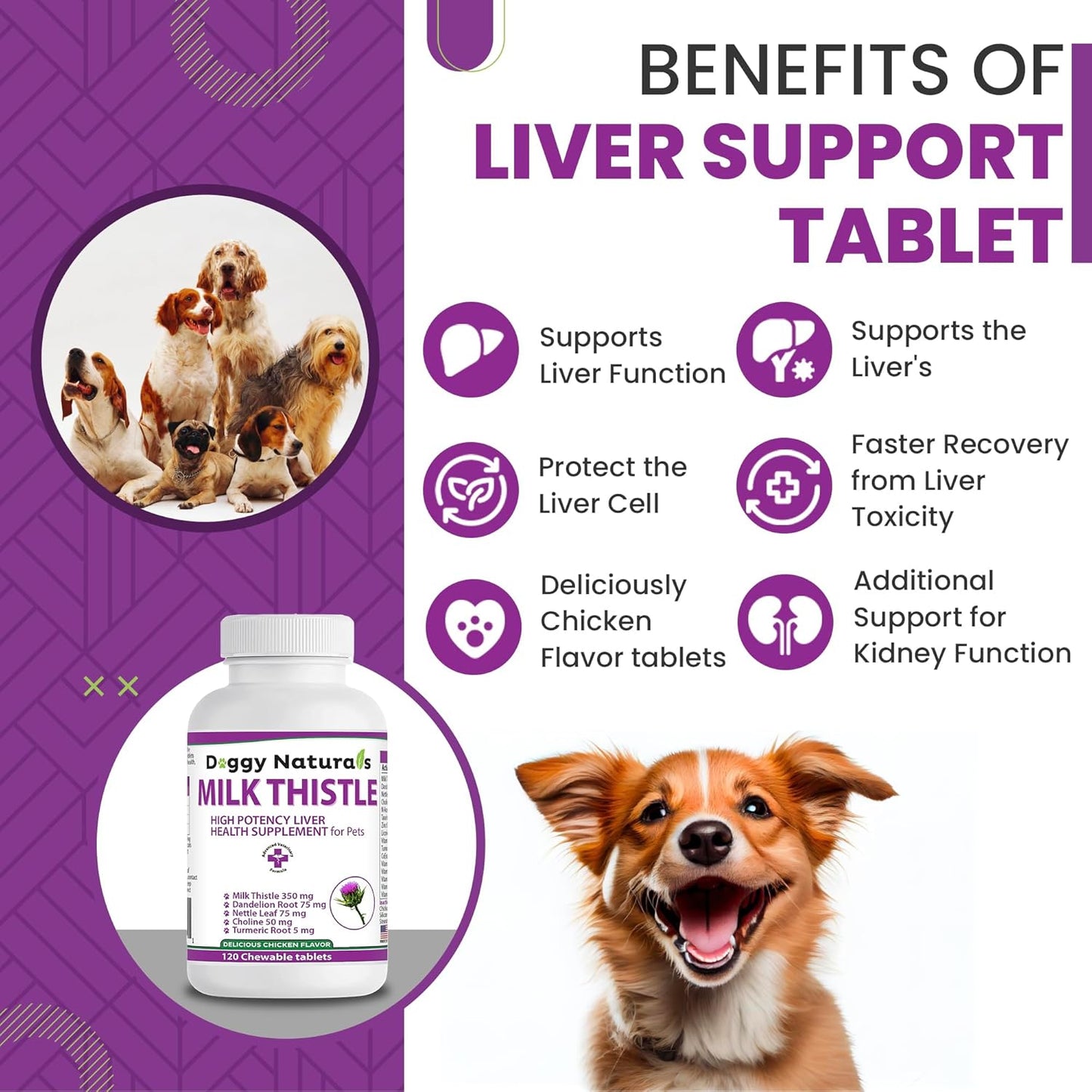 High Potency Milk Thistle Liver Health Supplement for Dogs - 120 Tablets by Pet Health Pharma