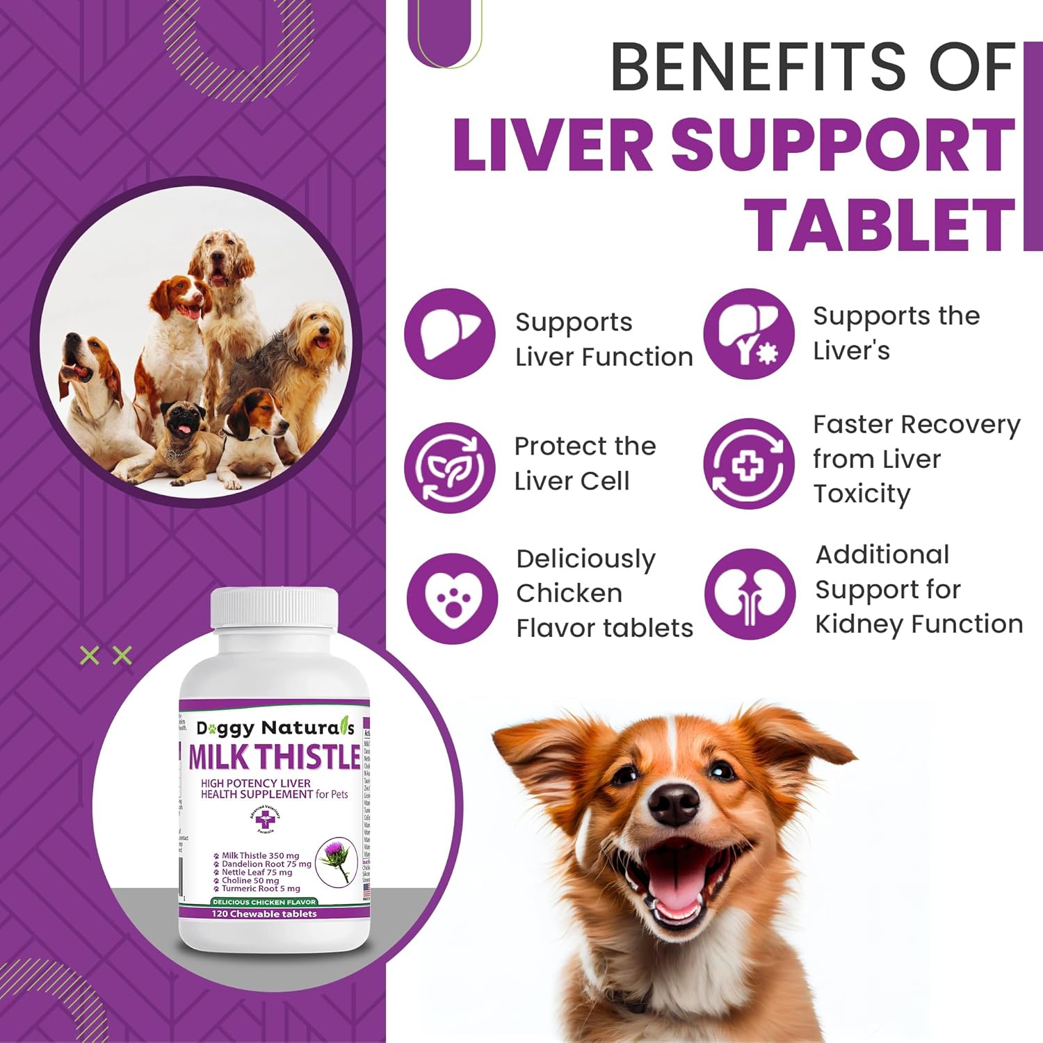 High Potency Milk Thistle Liver Health Supplement for Dogs - 120 Tablets by Pet Health Pharma