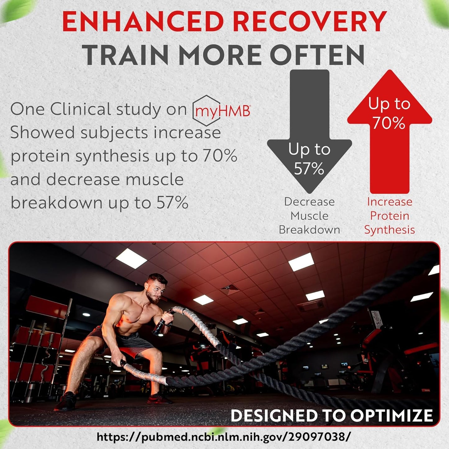 High-Potency Muscle Genesis HMB and Vitamin D3 Supplement - Supports Recovery, Lean Muscle Mass, and Healthy Aging in Men - 5000mg Per Serving