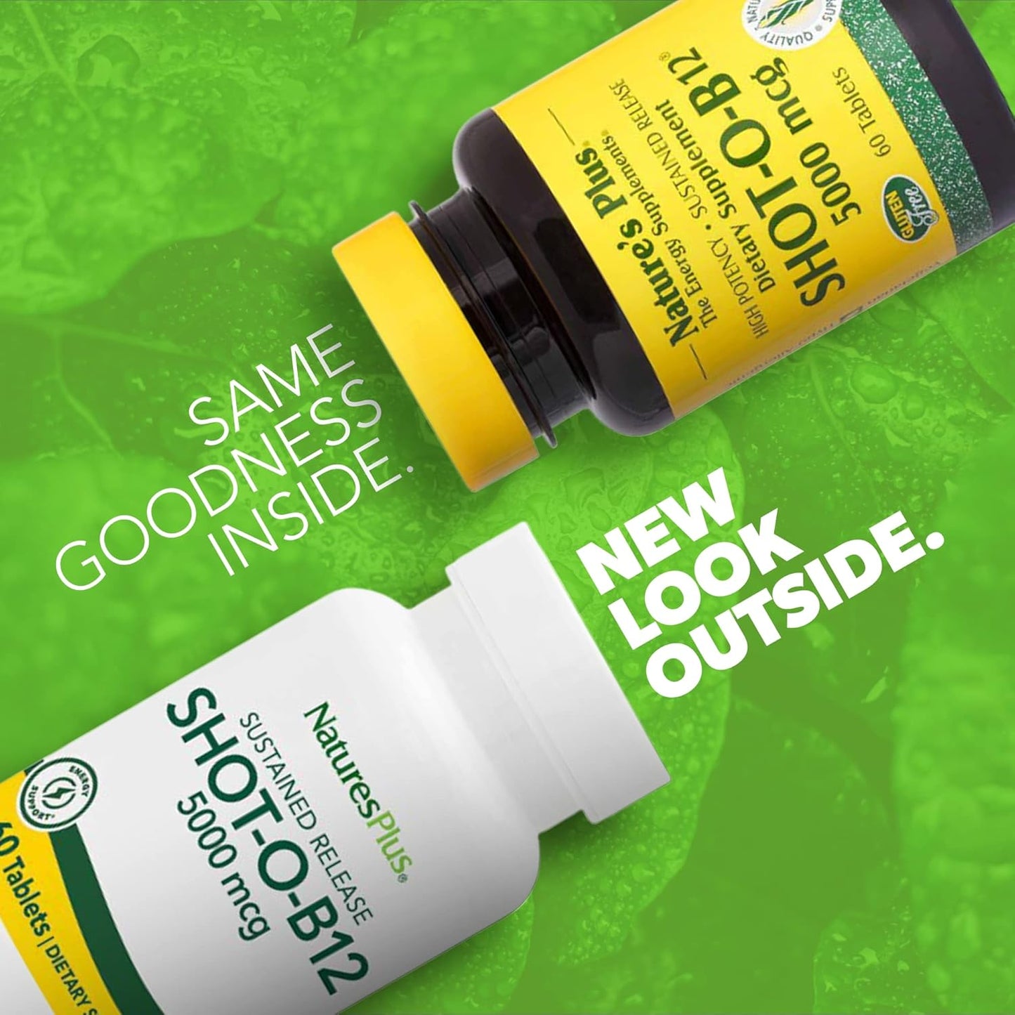 High Potency Natures Plus Shot-O-B12 (Methylcobalamin) 5000 mcg - Memory & Energy Booster - 60 Vegetarian Tablets, Sustained Release for Fast Acting B12 Supplement - Gluten-Free & 60 Servings