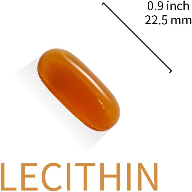 High-Potency Non-GMO Vegan Lecithin Supplements with 35% Phosphatidylcholine - 1000mg | 60 Softgels (1 Month Supply)