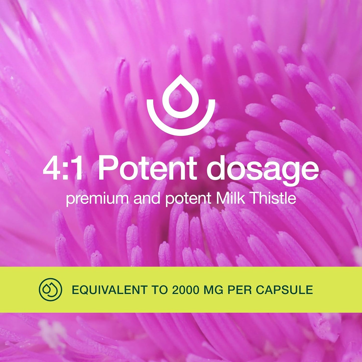 High Potency Organic Milk Thistle Supplement - 2000mg - 4 Month Supply - Silymarin Extract 4:1 - Made in USA - 120 Capsules