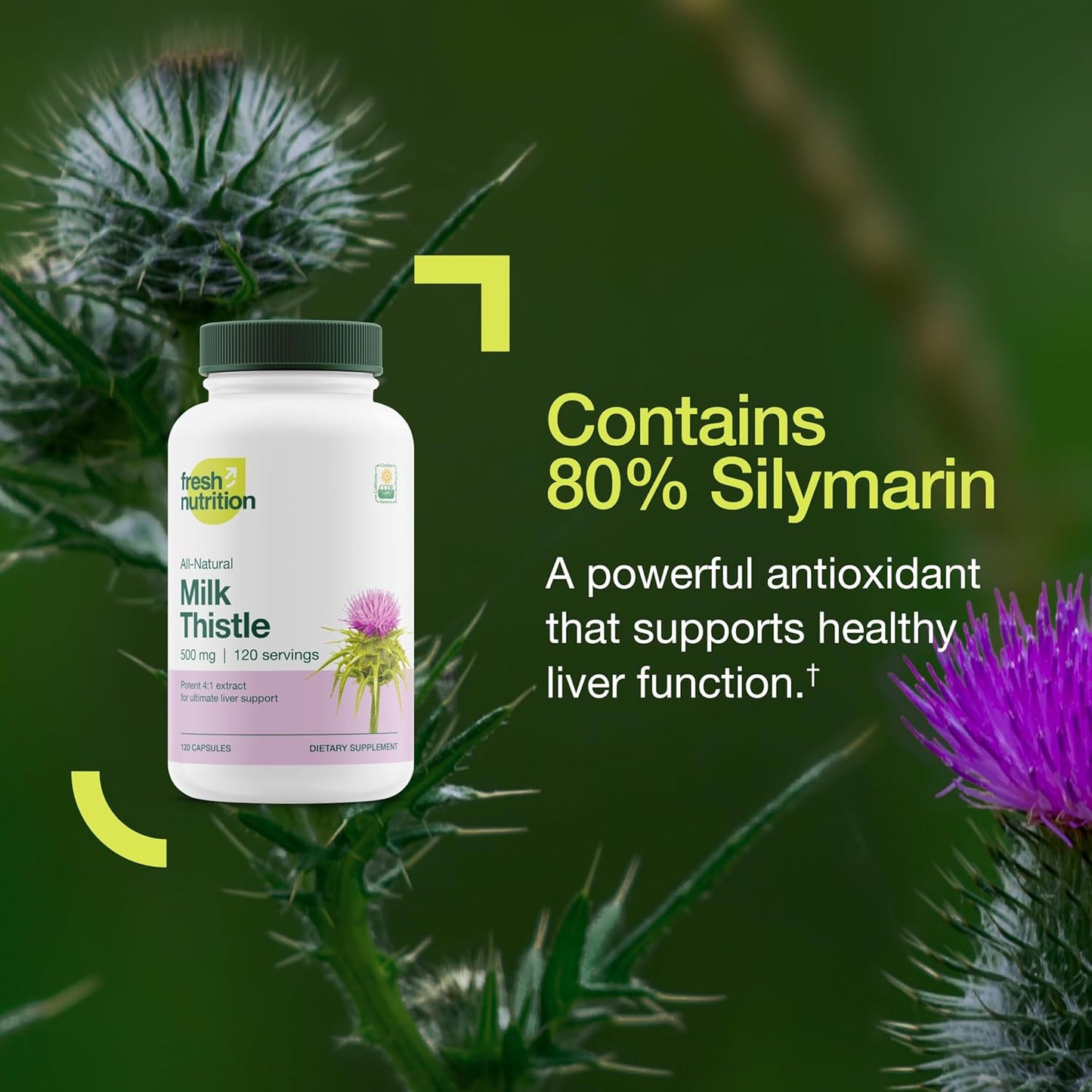 High Potency Organic Milk Thistle Supplement - 2000mg - 4 Month Supply - Silymarin Extract 4:1 - Made in USA - 120 Capsules