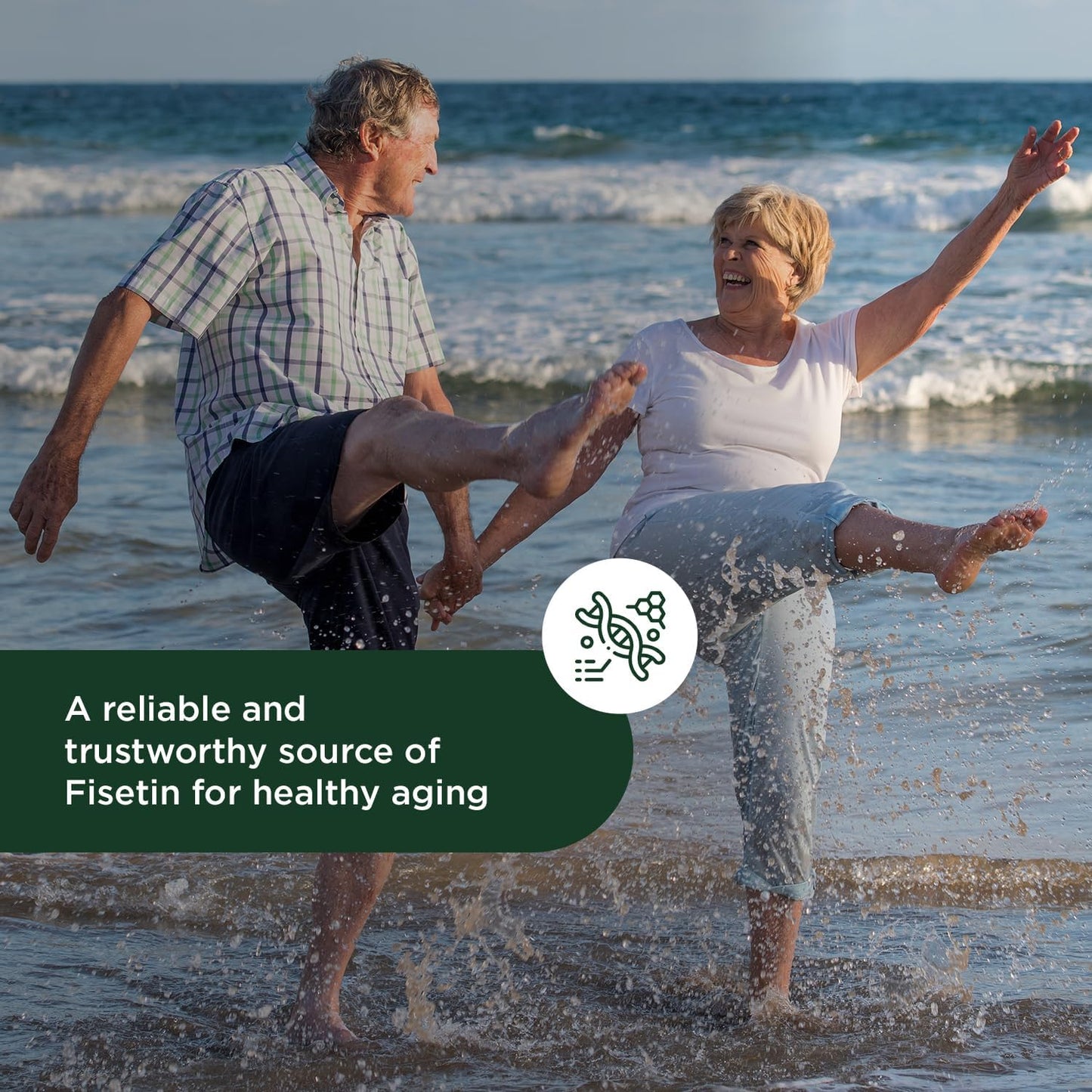 High Potency Probase Nutrition Fisetin Senolytic Supplement - 100mg, 60-Day Supply for Cellular Health