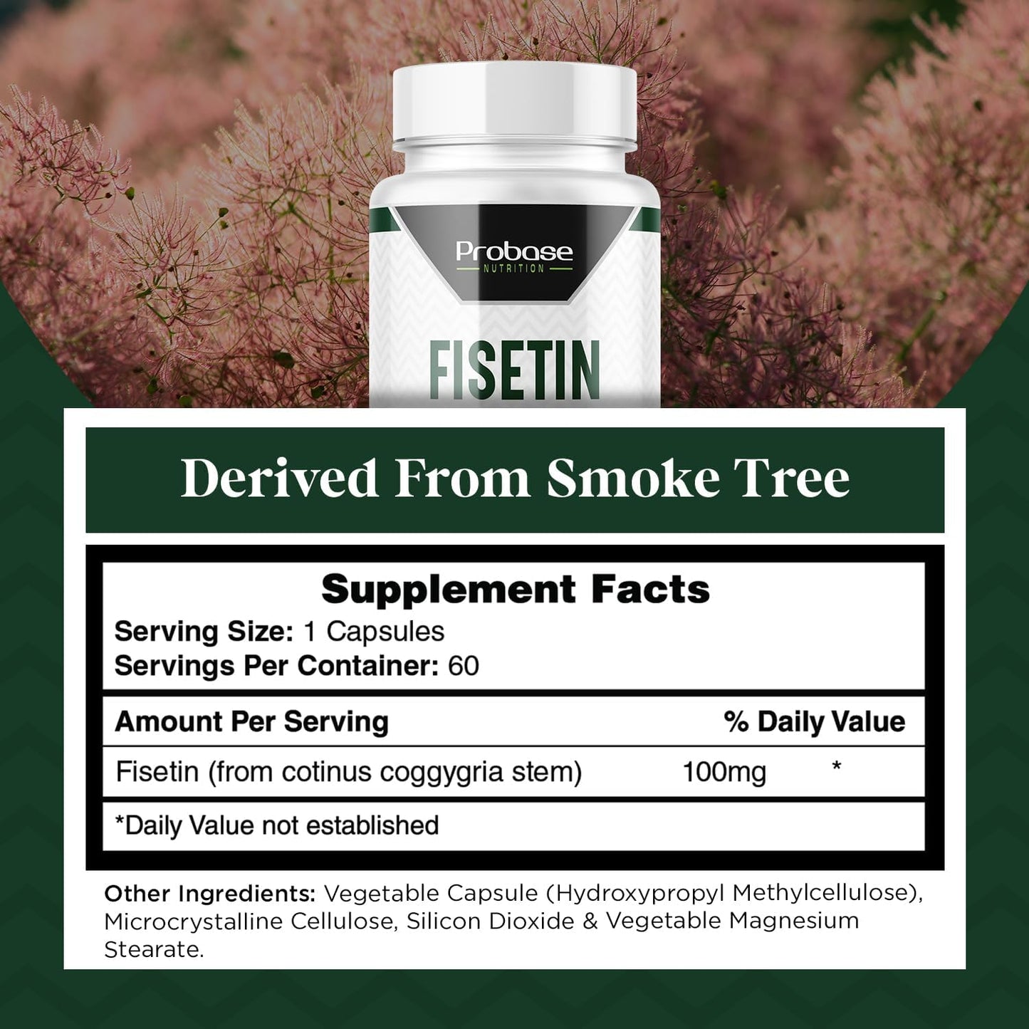 High Potency Probase Nutrition Fisetin Senolytic Supplement - 100mg, 60-Day Supply for Cellular Health