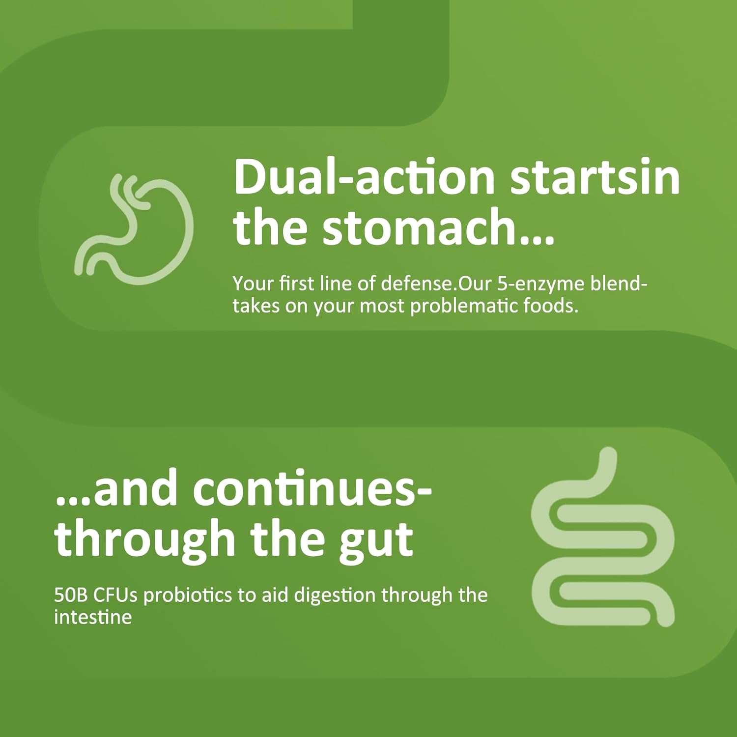 High Potency Probiotic Capsules for Gut Health - 50 Billion CFU, 18 Strains, 5 Digestive Enzymes - Supports Immune System, Gas & Bloating - Non-GMO, Gluten Free - 60 Count