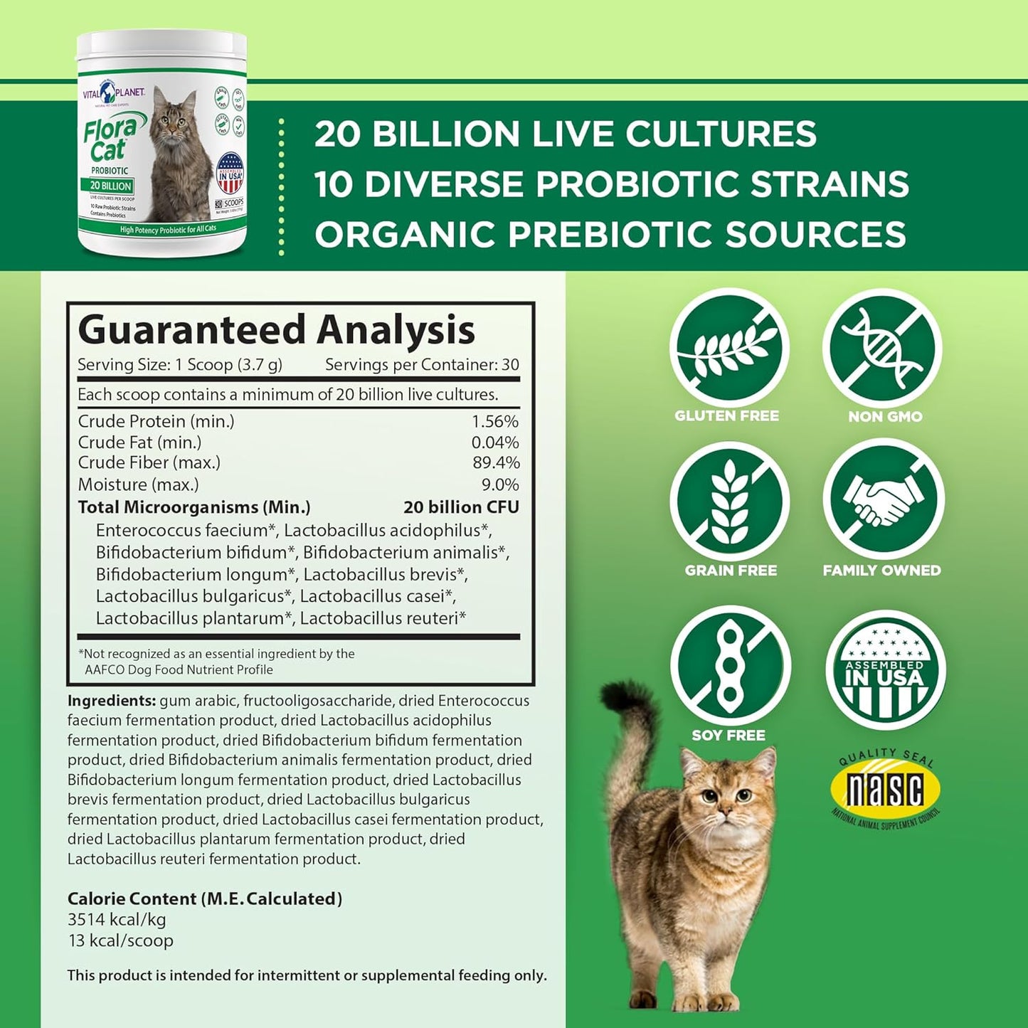 High Potency Probiotic Powder Supplement for Cats - 20 Billion Cultures, 10 Diverse Strains - Digestive and Immune Support - 30 Scoops