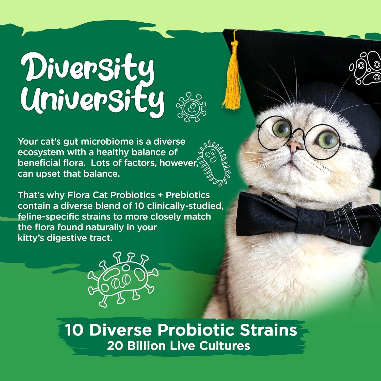 High Potency Probiotic Powder Supplement for Cats - 20 Billion Cultures, 10 Diverse Strains - Digestive and Immune Support - 30 Scoops