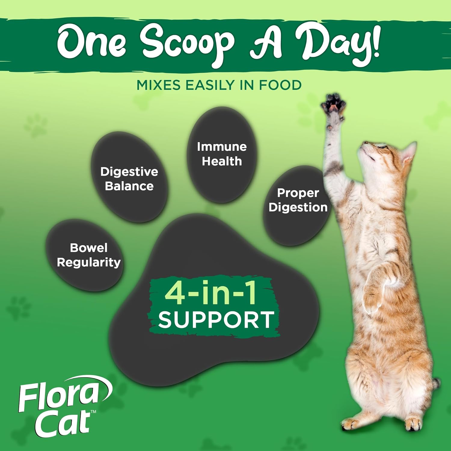 High Potency Probiotic Powder Supplement for Cats - 20 Billion Cultures, 10 Diverse Strains - Digestive and Immune Support - 30 Scoops