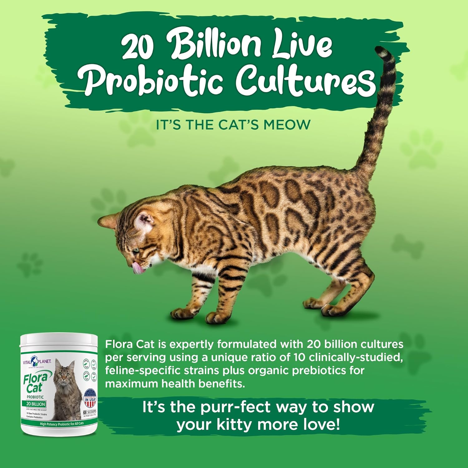 High Potency Probiotic Powder Supplement for Cats - 20 Billion Cultures, 10 Diverse Strains - Digestive and Immune Support - 30 Scoops