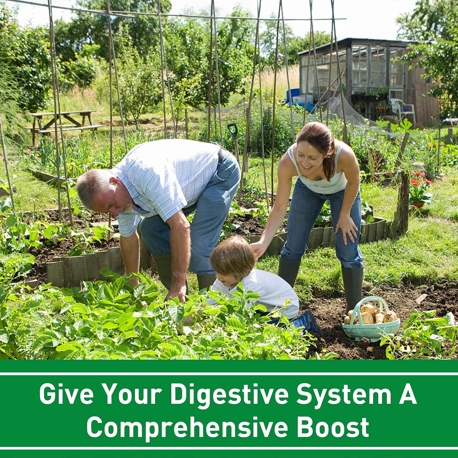 High Potency Probiotic Supplement for Digestion & Immune Support - 300 Billion CFU, 11 Strains - 120 Count - Women and Men's Probiotics with Herbal Enzymes