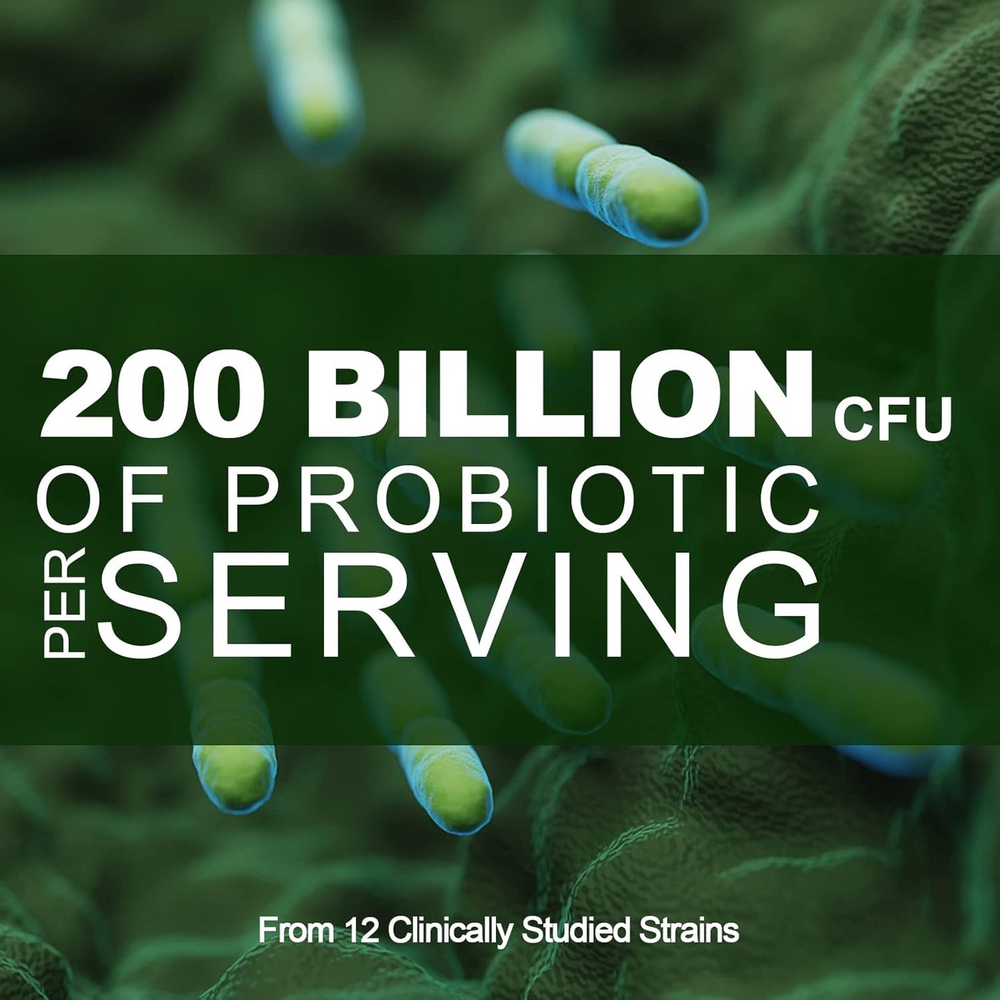 High Potency Probiotic Supplement for Digestive & Immune Health - 200 Billion CFU, 12 Strains, Organic Prebiotics, 180 Capsules