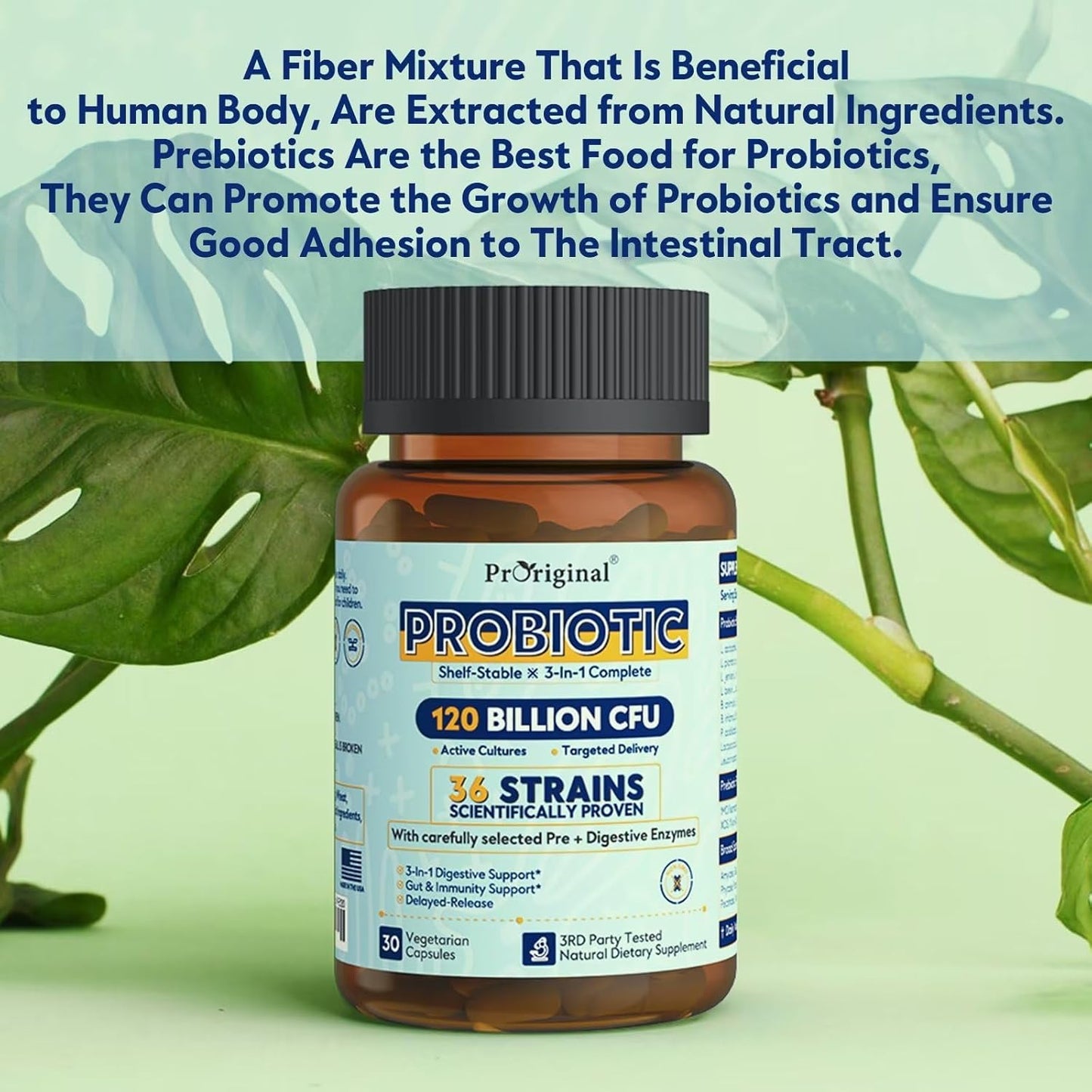 High Potency Probiotic Supplement with 120 Billion CFU and 36 Strains for Digestive Health - 30 Delayed Release Capsules