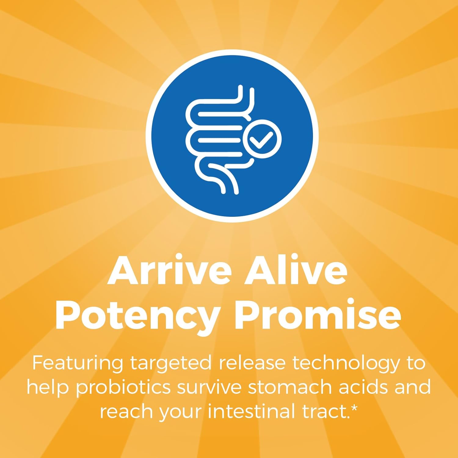 High Potency Probiotic Supplement with 50 Billion CFU, 20 Strains, 120 Capsules, Targeted Release, Acid Resistant, No Refrigeration Needed, Non-GMO, Gluten Free - 1 Pack