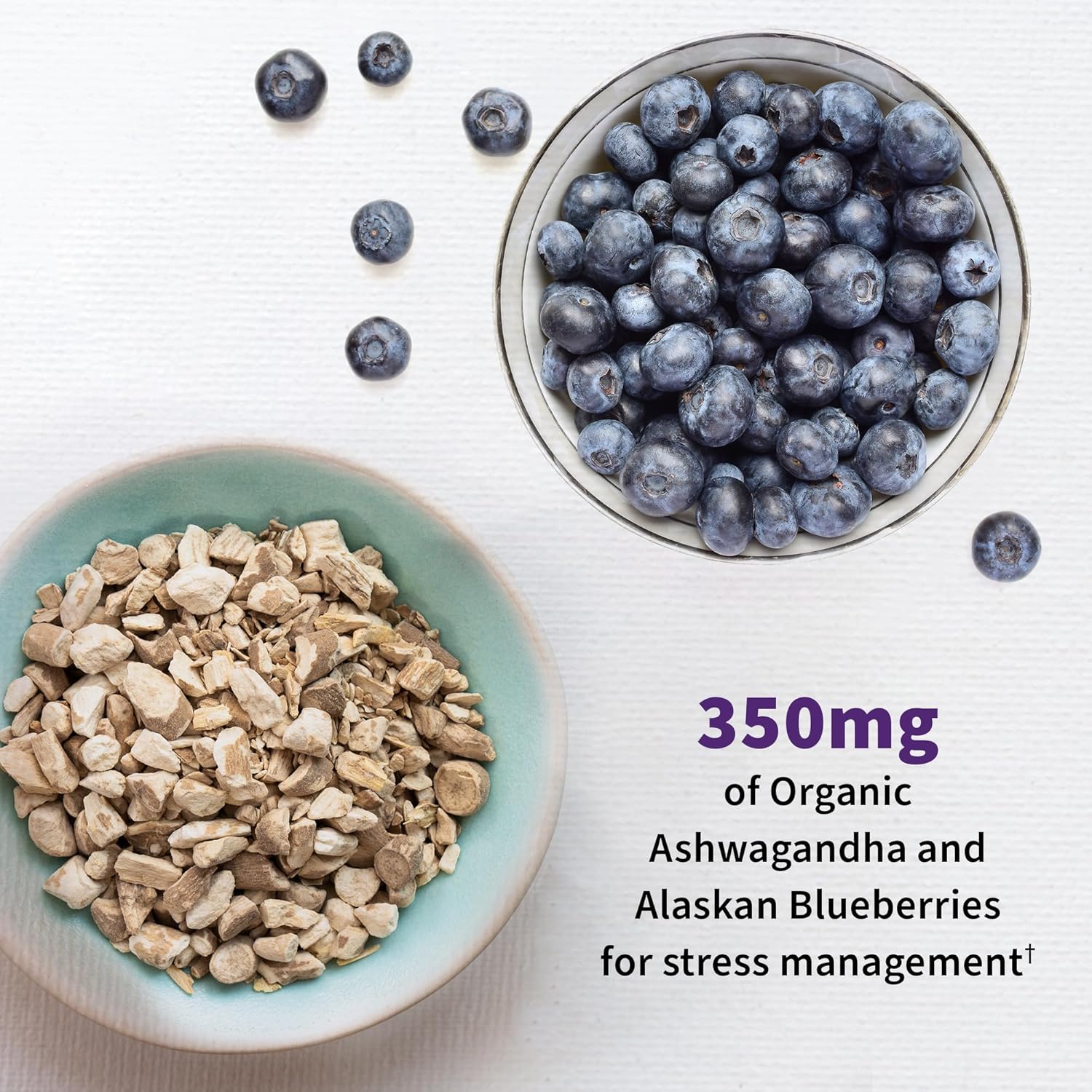 High Potency Probiotic & Zinc Supplement for Mood Support - Garden of Life Dr. Formulated Probiotics & Multimineral Formula