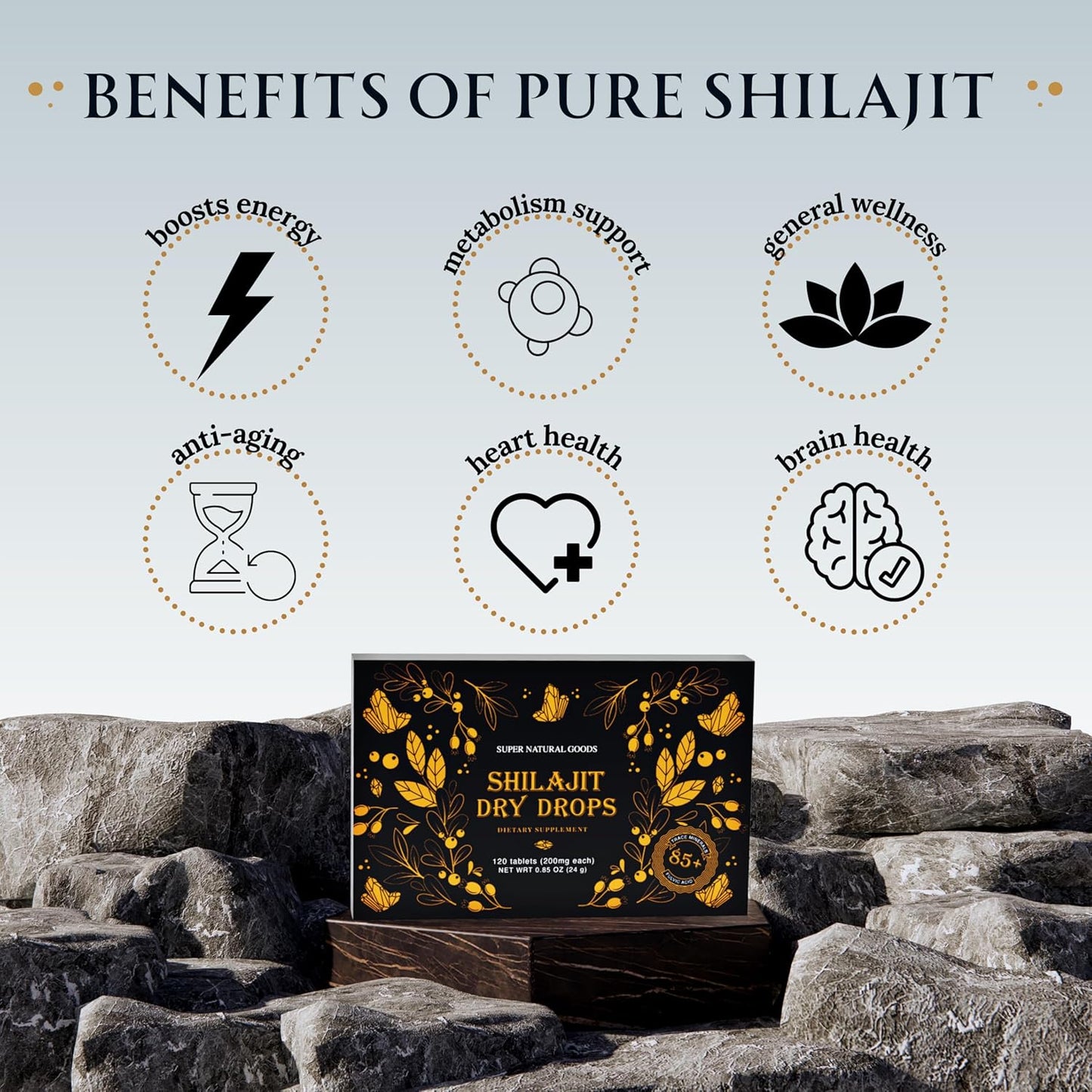 High Potency Pure Shilajit Resin Dry Drops with Fulvic Acid - 100% Natural & Grade A | Boost Energy Metabolism & Immune Support | 180 Tablets for Men & Women
