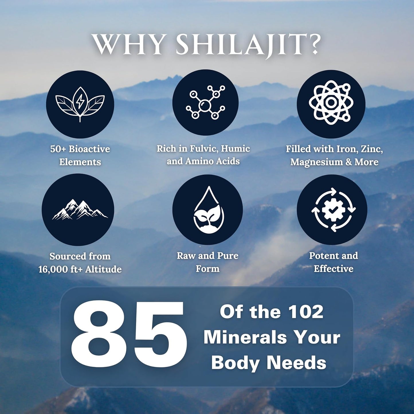 High Potency Pure Shilajit Resin Dry Drops with Fulvic Acid - 100% Natural & Grade A | Boost Energy Metabolism & Immune Support | 180 Tablets for Men & Women