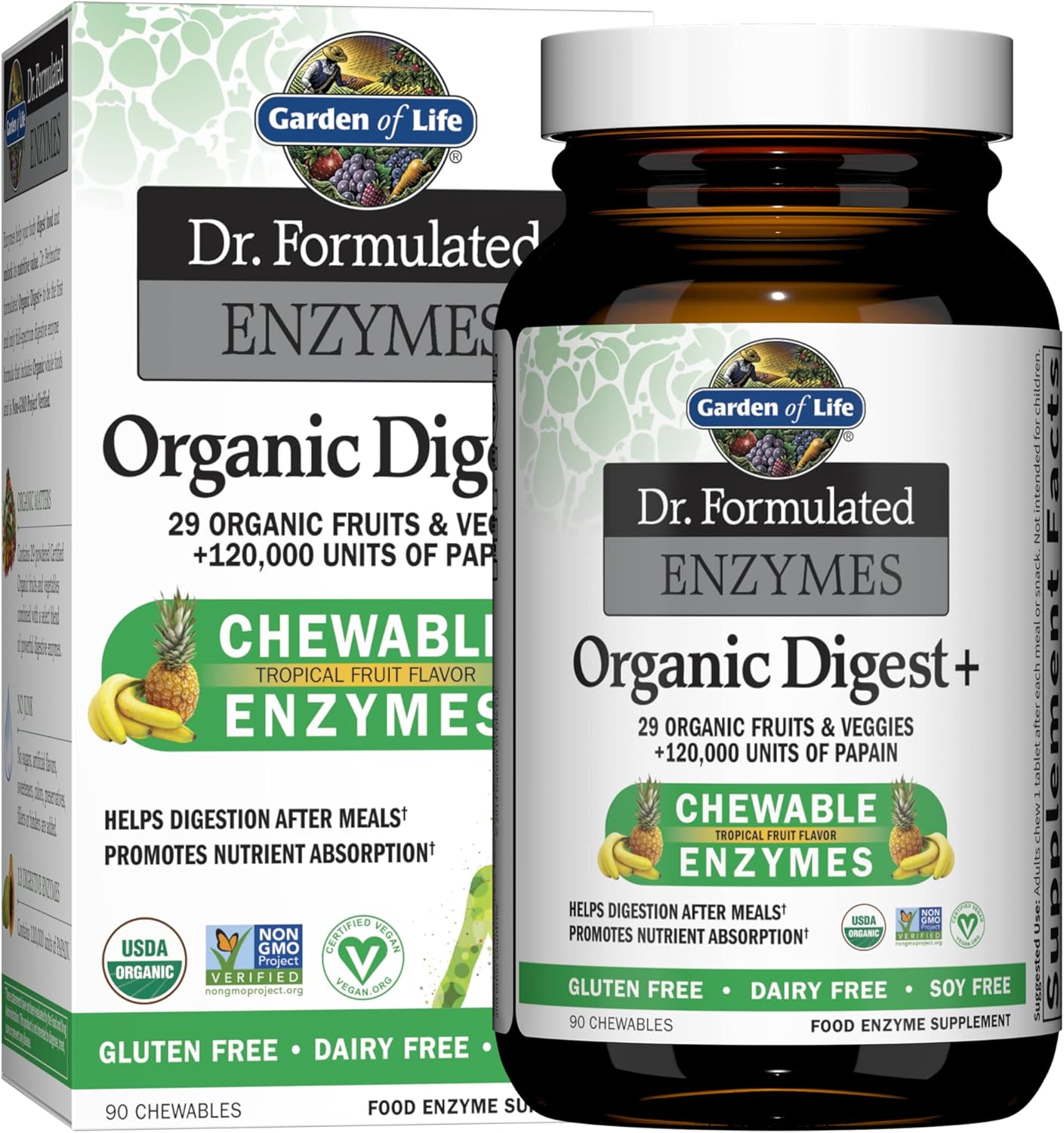 High Potency Raw Zinc and Vitamin C Multimineral Supplement with Garden of Life Dr Formulated Digestive Enzymes including Papain and Bromelain