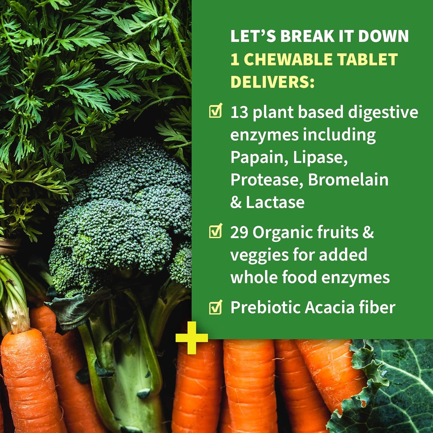 High Potency Raw Zinc and Vitamin C Multimineral Supplement with Garden of Life Dr Formulated Digestive Enzymes including Papain and Bromelain