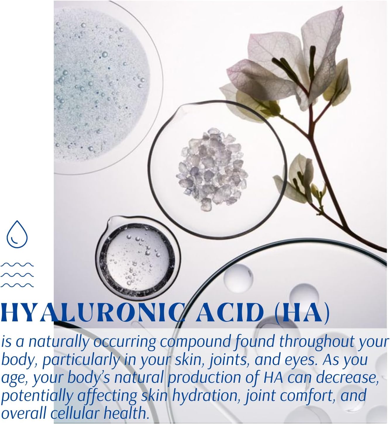 High Potency Rootrium Liposomal Hyaluronic Acid Capsules - 1000MG Formula for Skin & Joint Health