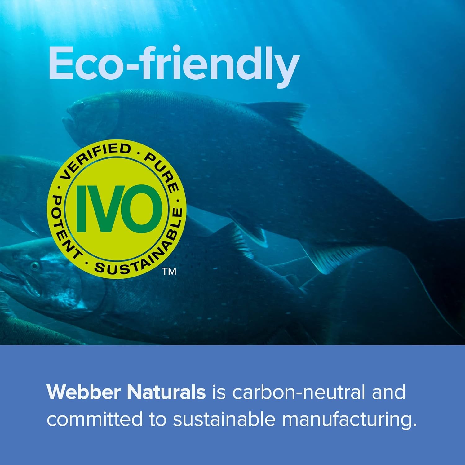 High Potency Triple Omega 3-6-9 Fish Oil Softgels, 1,200mg, 180 Count, Ultra-Purified, No Aftertaste - Heart, Brain, Cardiovascular Support, Gluten & Shellfish-Free