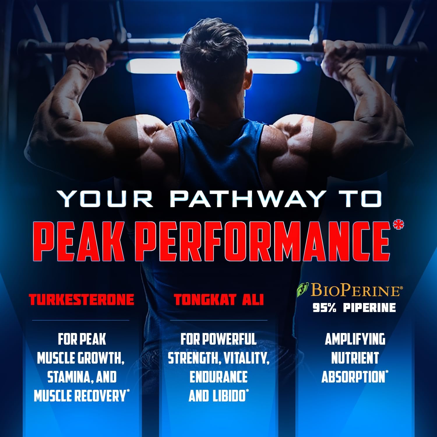 High Potency Turkesterone Supplement for Lean Muscle Growth & Stamina - 15,000mg + BioPerine - USA Made - 120 Capsules