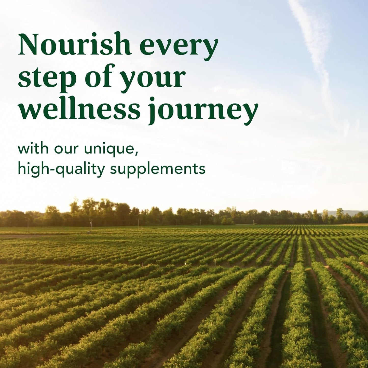 High Potency Vegan Zinc Supplements for Immune Support - 22.5 mg Fermented Zinc - Gluten-Free, Kosher - 120 Tablets