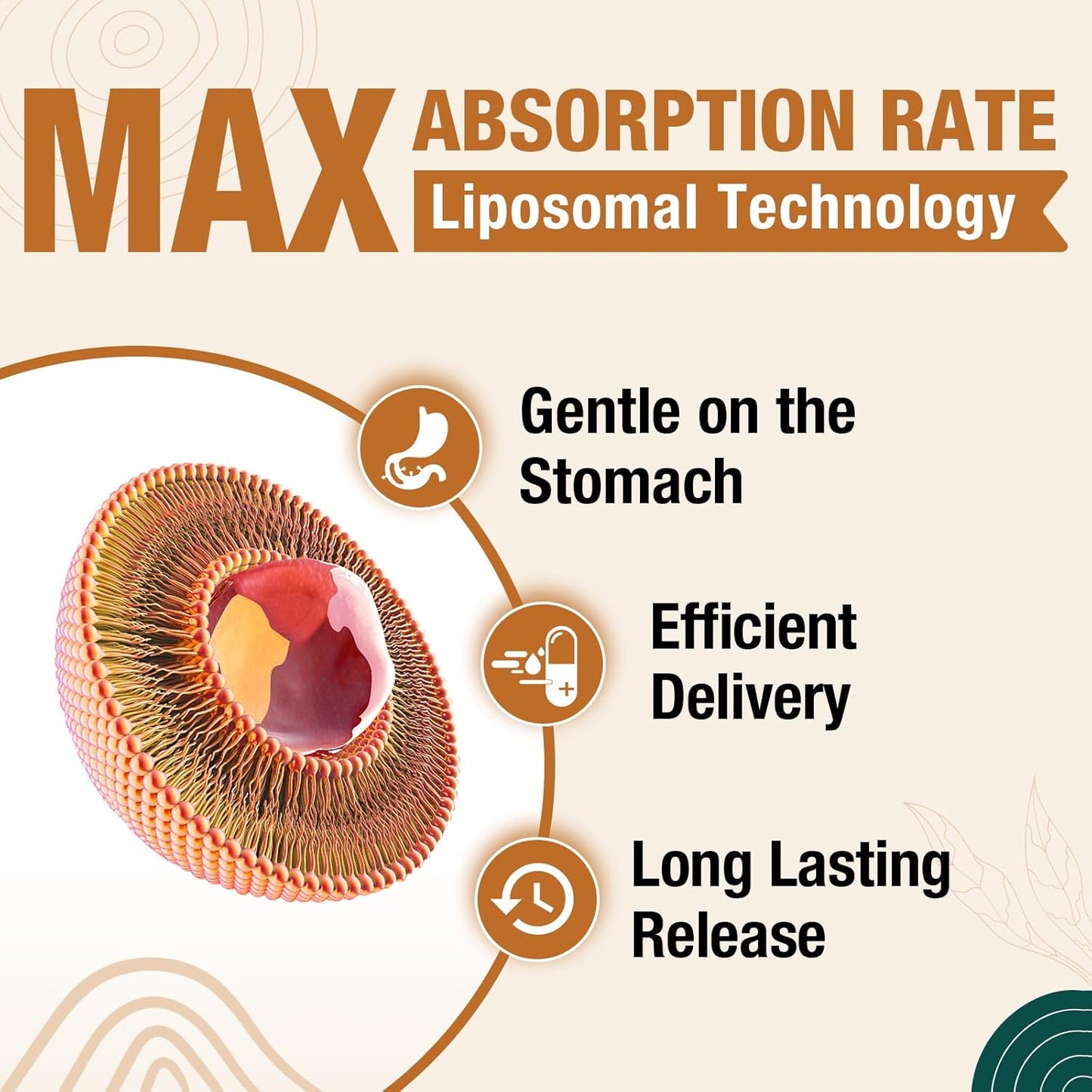 High Potency ZenixZephir Liposomal Brain Supplements with Plasmalogen, Curcumin & Vitamin E for Memory, Focus, and Cognitive Health - 120 Servings for Seniors, Men, and Women