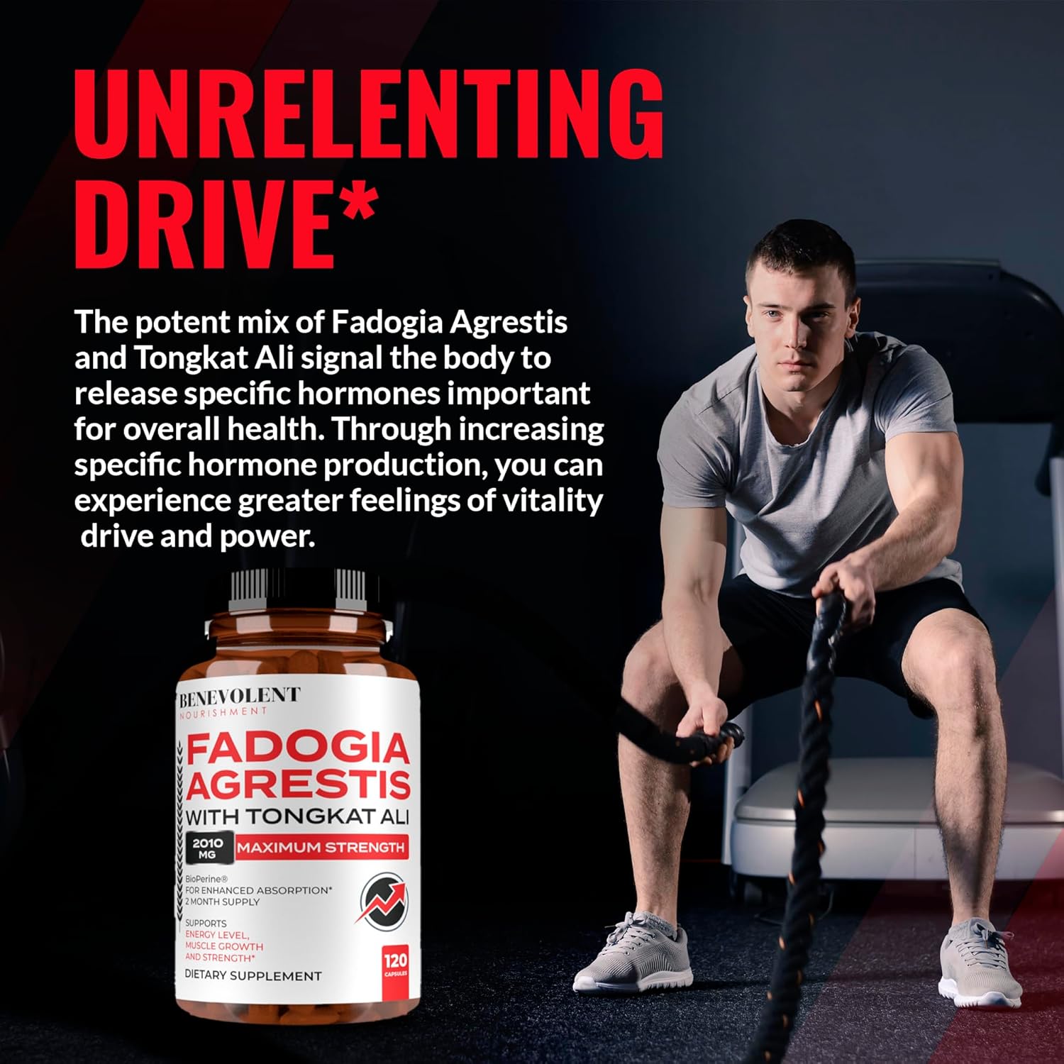 High Purity Fadogia Agrestis 1500mg Supplement with BioPerine® & Tongkat Ali - Boost Stamina, Muscle Growth, Drive - 120 Capsules