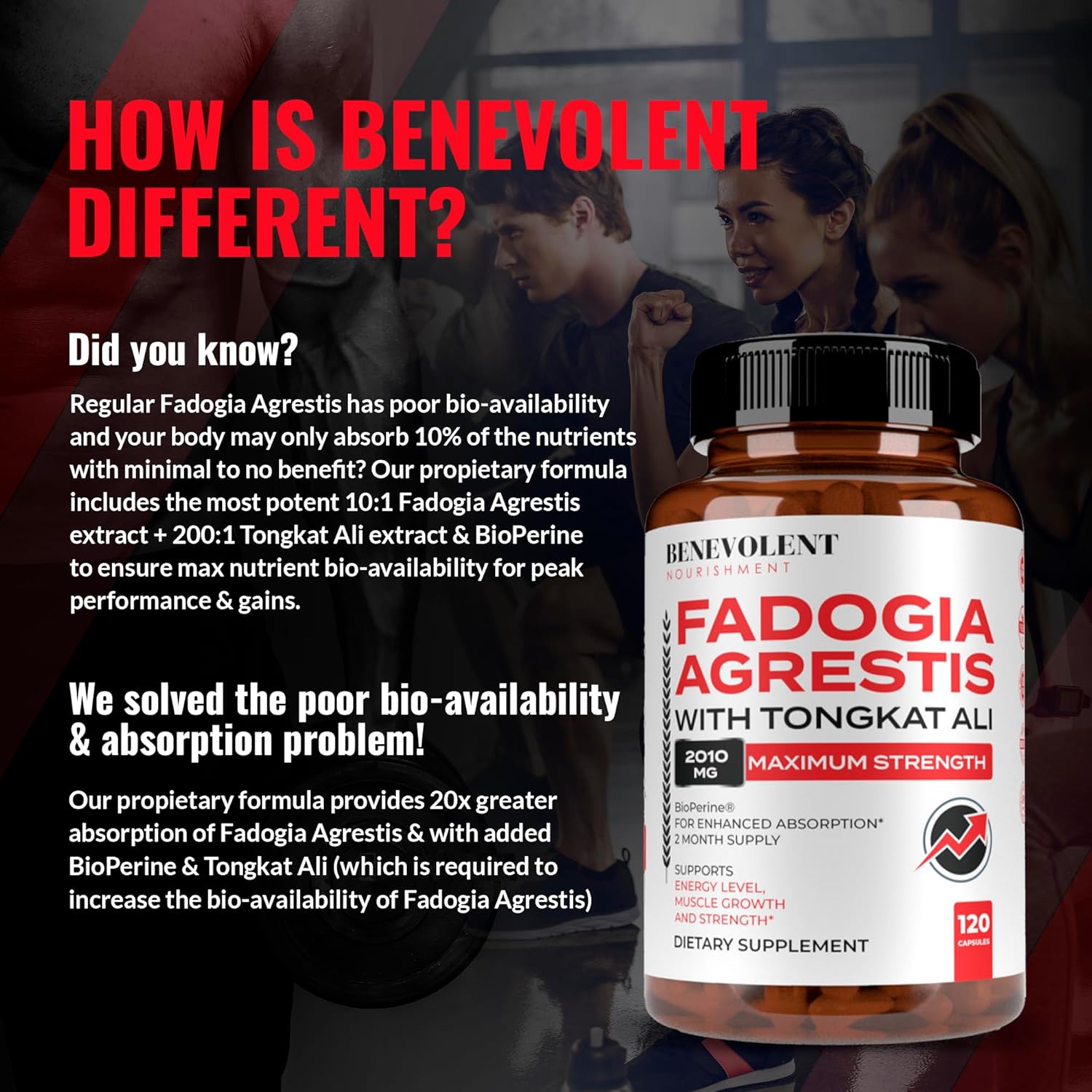 High Purity Fadogia Agrestis 1500mg Supplement with BioPerine® & Tongkat Ali - Boost Stamina, Muscle Growth, Drive - 120 Capsules