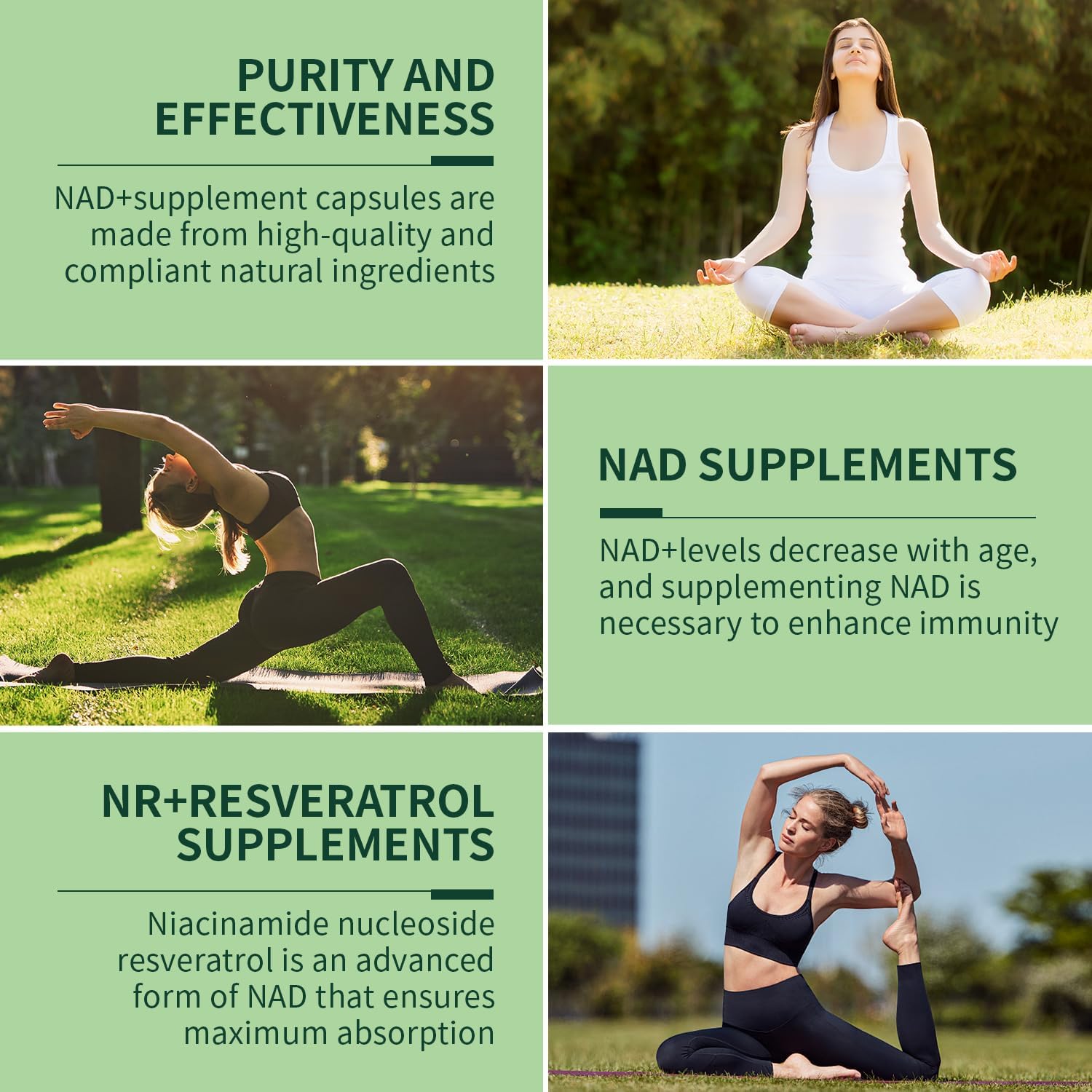 High Purity Liposomal NAD+ Supplement with Resveratrol and Quercetin - Anti-Aging, Energy, Focus - 80 Capsules by Newcell