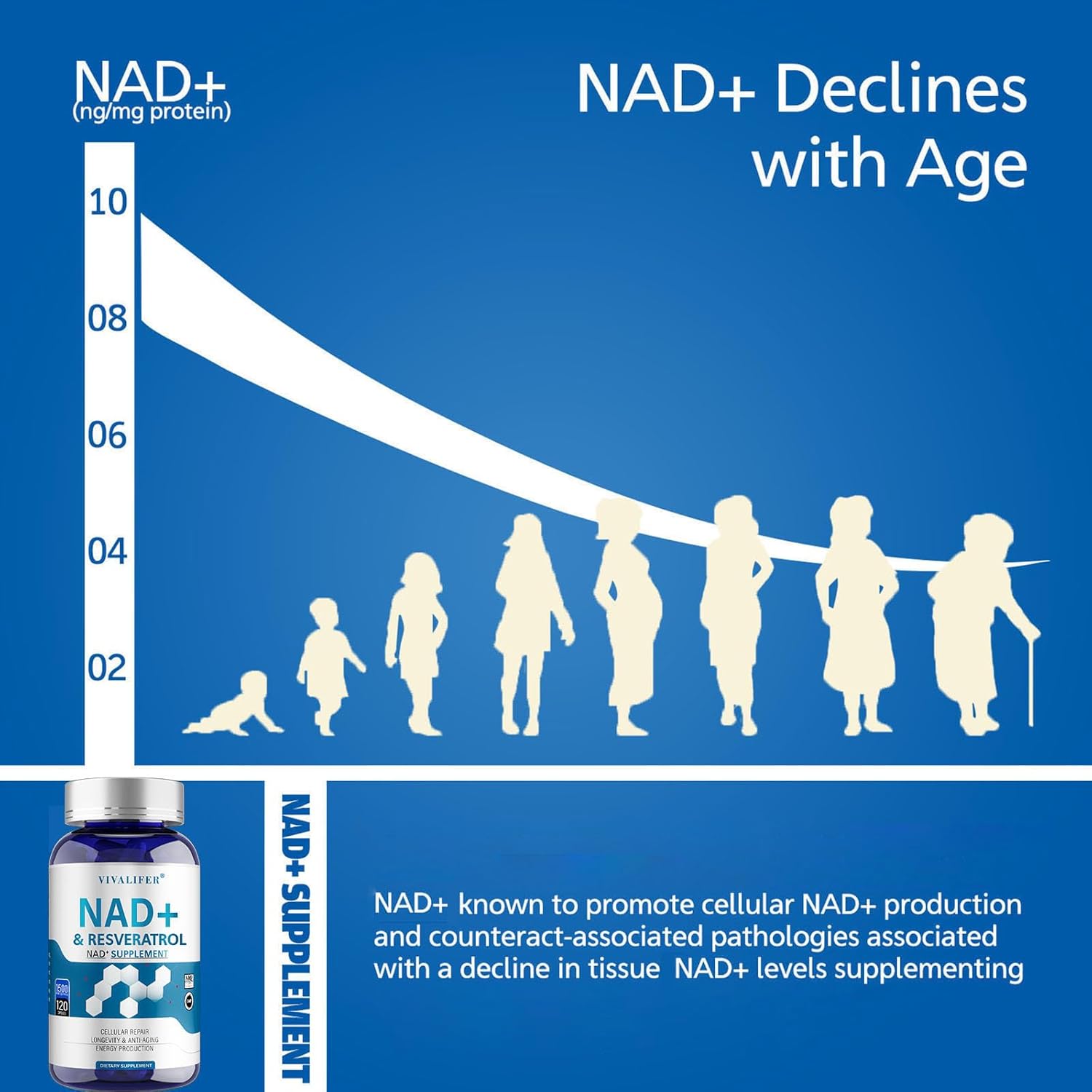 High Purity NAD+ & Resveratrol Supplement - 120 Capsules, 1500mg - Anti-Aging, Antioxidant Support, Energy Boost